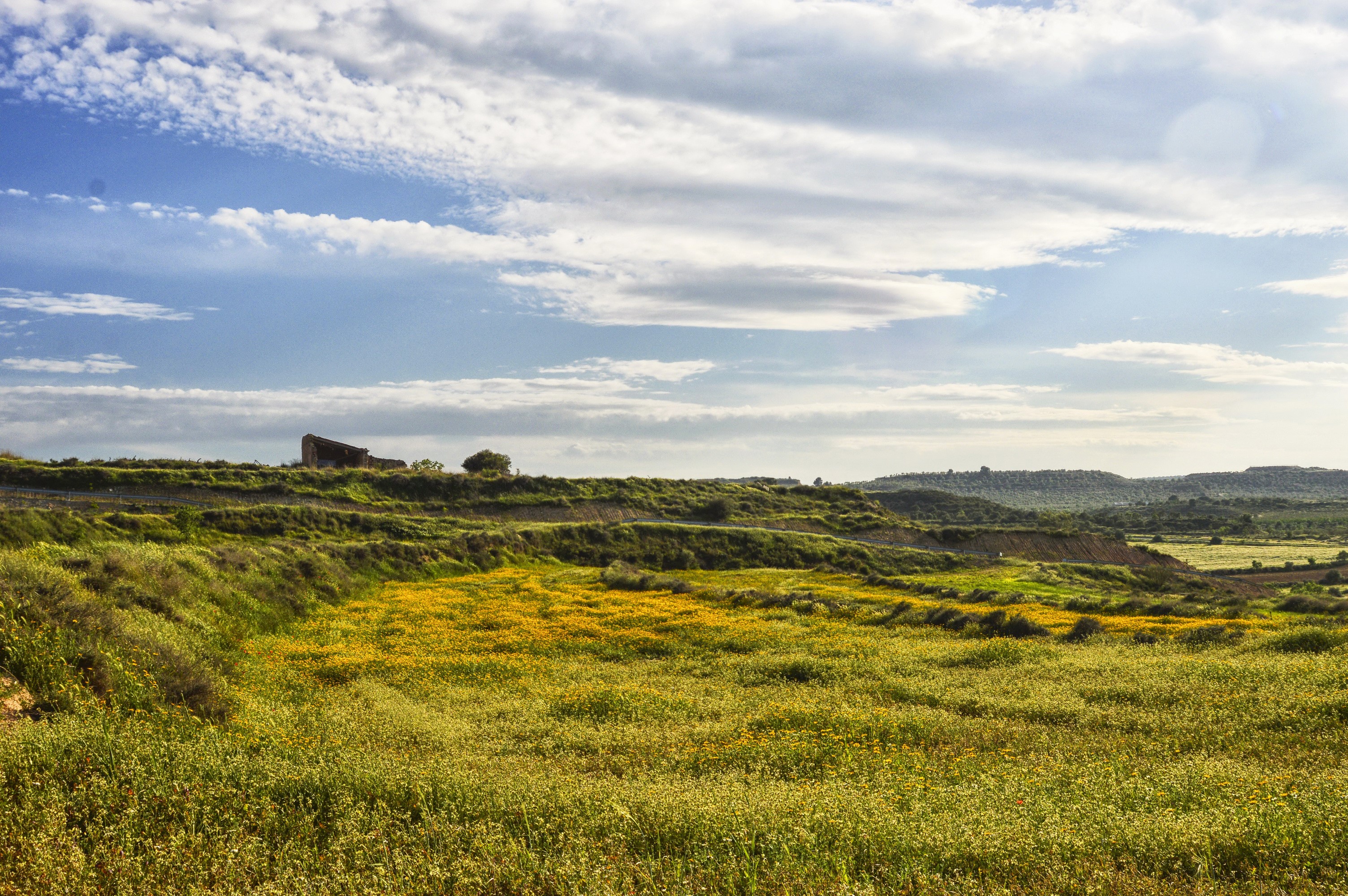 Rolling hills with yellow wildflowers and a distant building under a cloudy sky HD Wallpaper