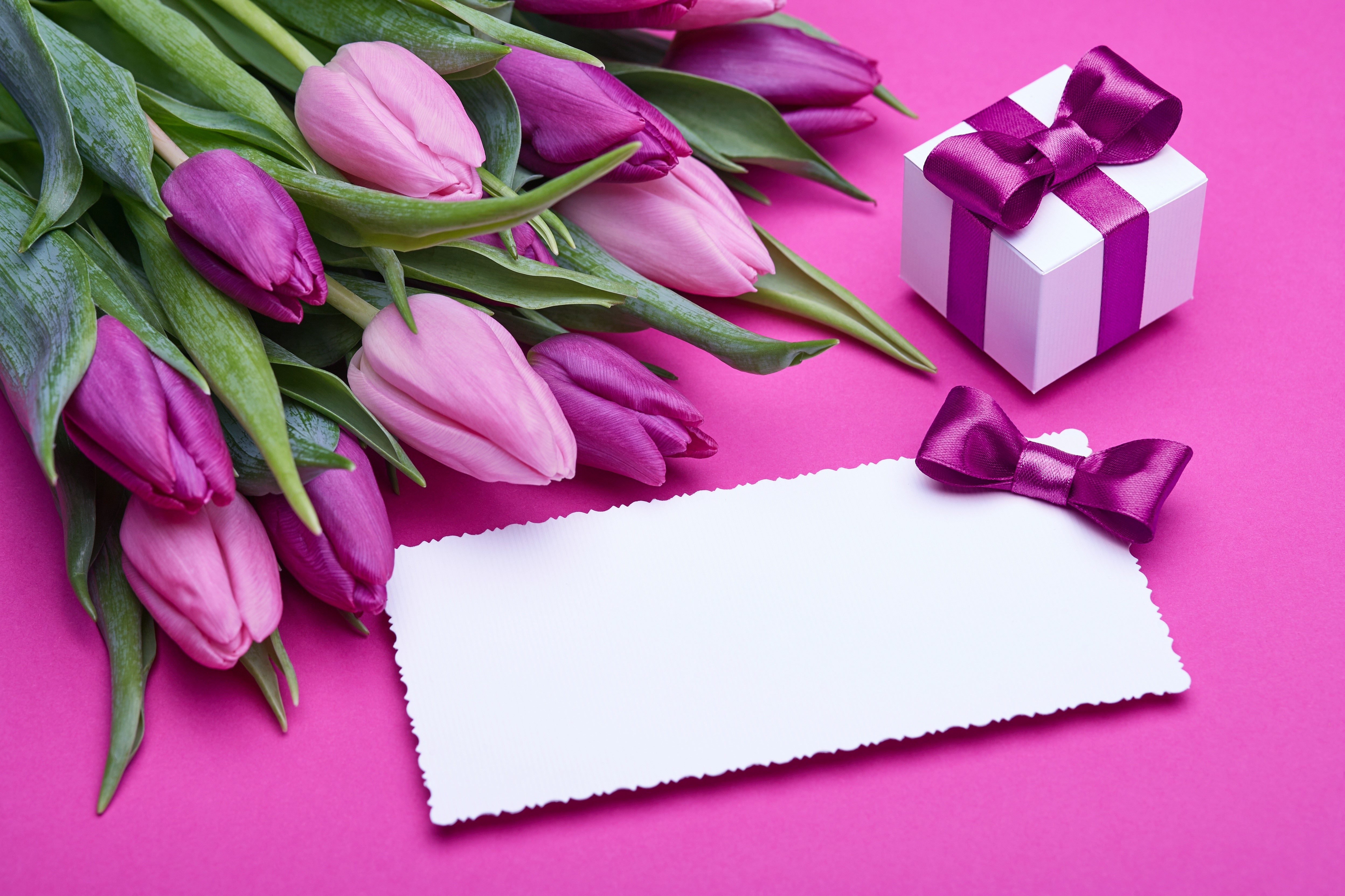 Tulips, Gift Box, and Greeting Card HD Wallpaper