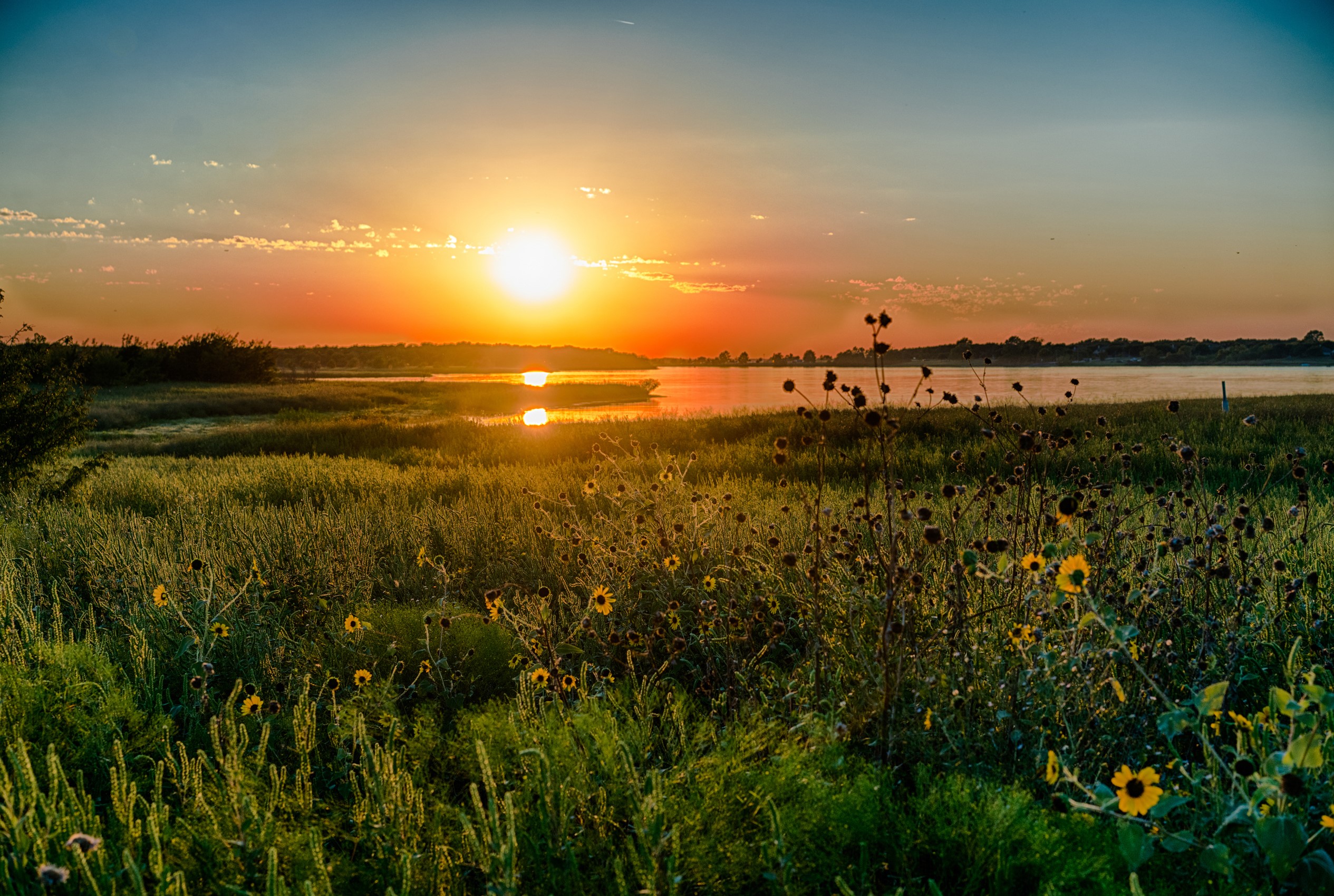 Sunset over a grassy field and lake in Texas HD Wallpaper