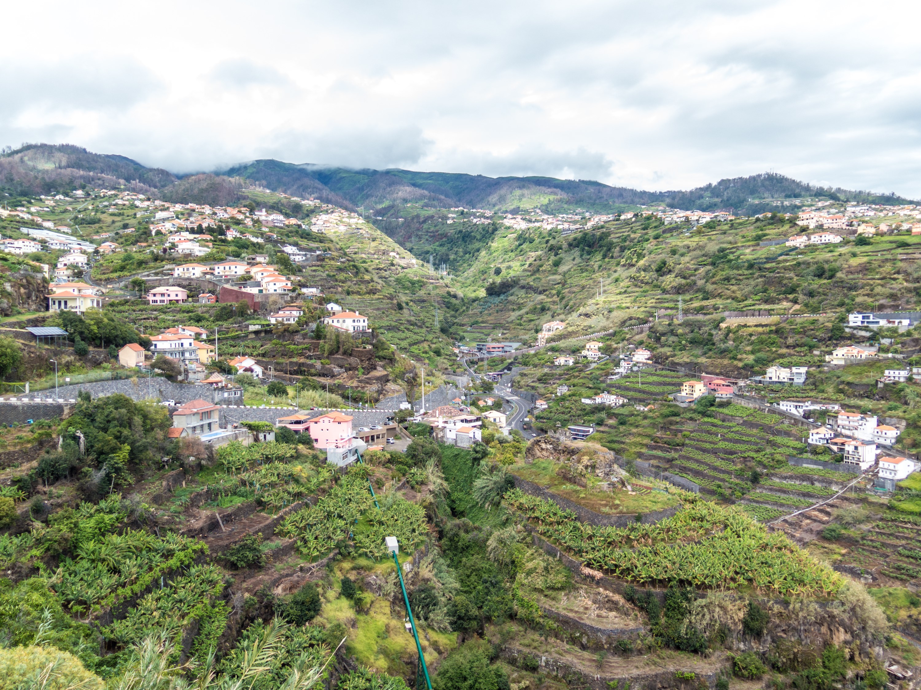 Houses and terraced fields on a hillside in Madeira HD Wallpaper