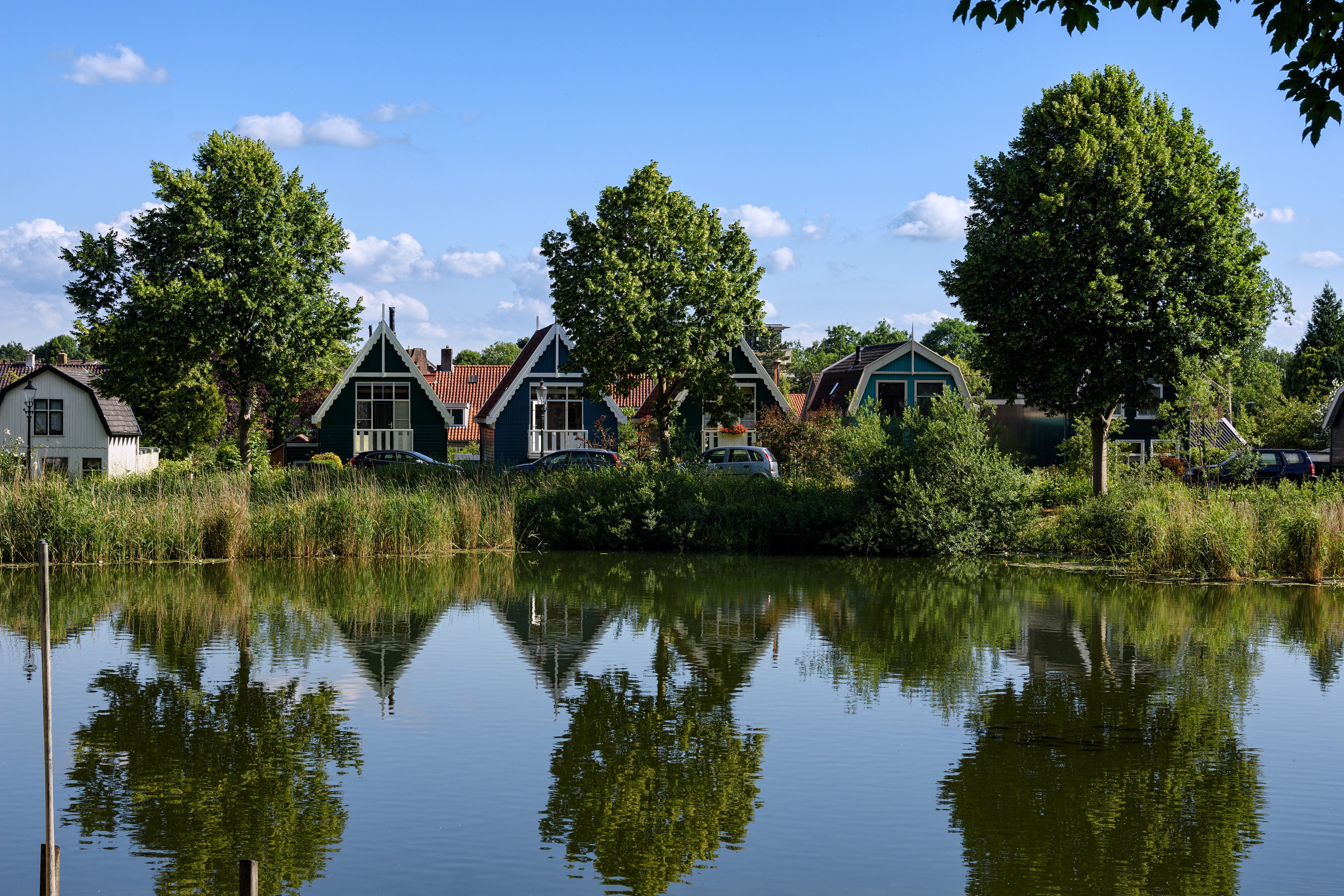 Houses and trees reflected in a river in Beverwijk, Netherlands HD Wallpaper