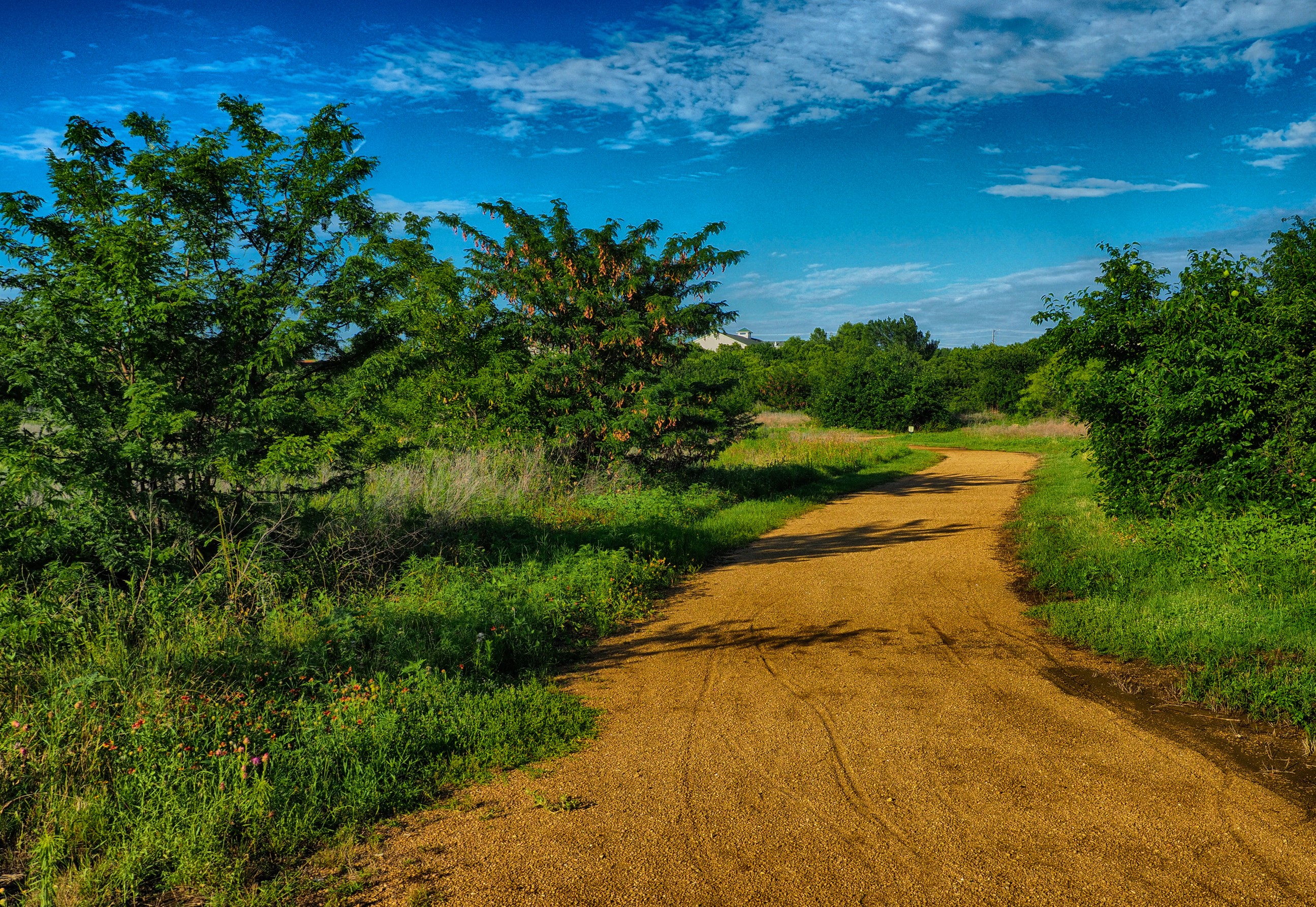 Dirt Road Through Green Landscape Under Blue Sky in USA HD Wallpaper