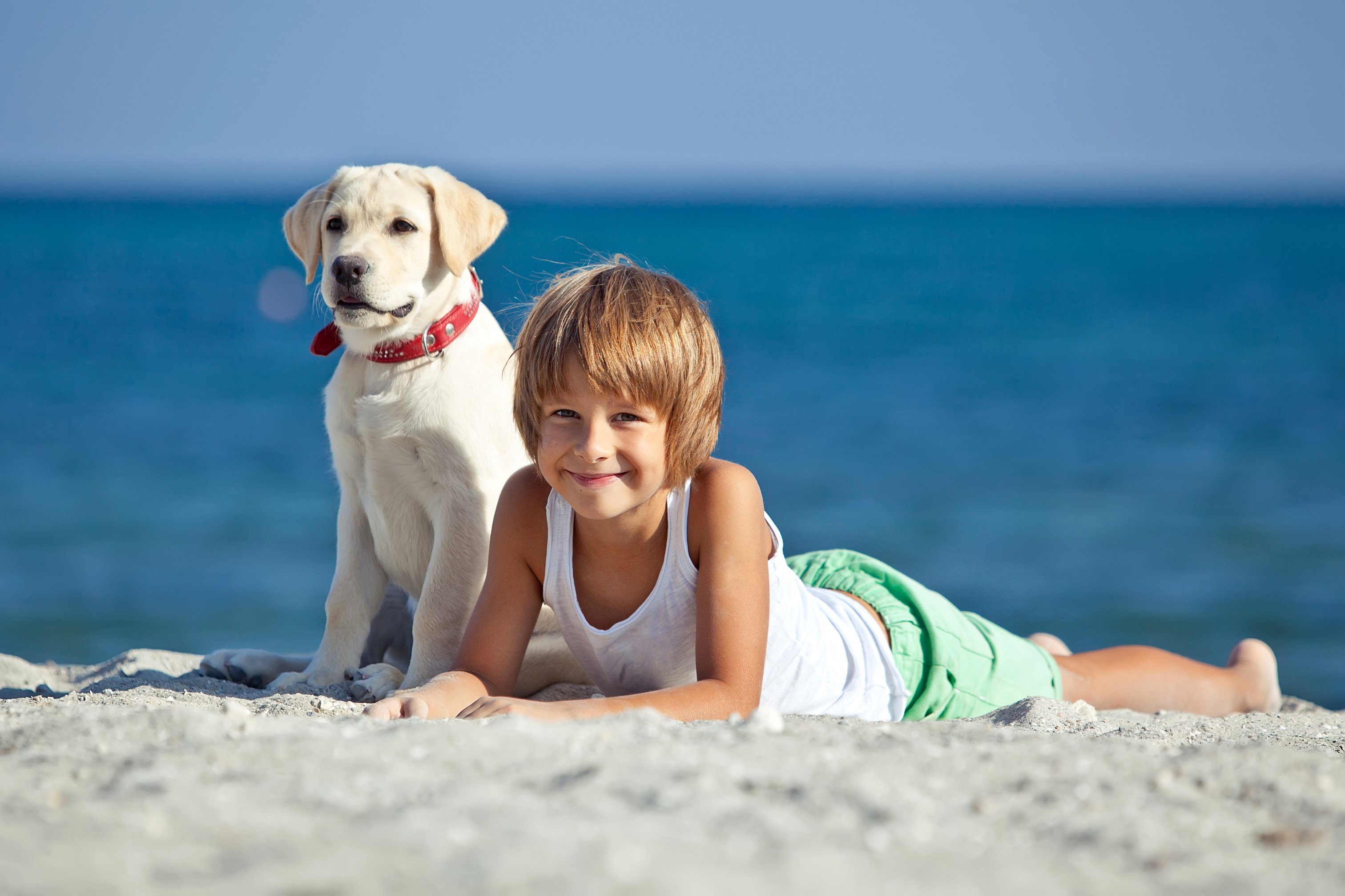 Boy and Labrador Retriever on a Sandy Beach HD Wallpaper