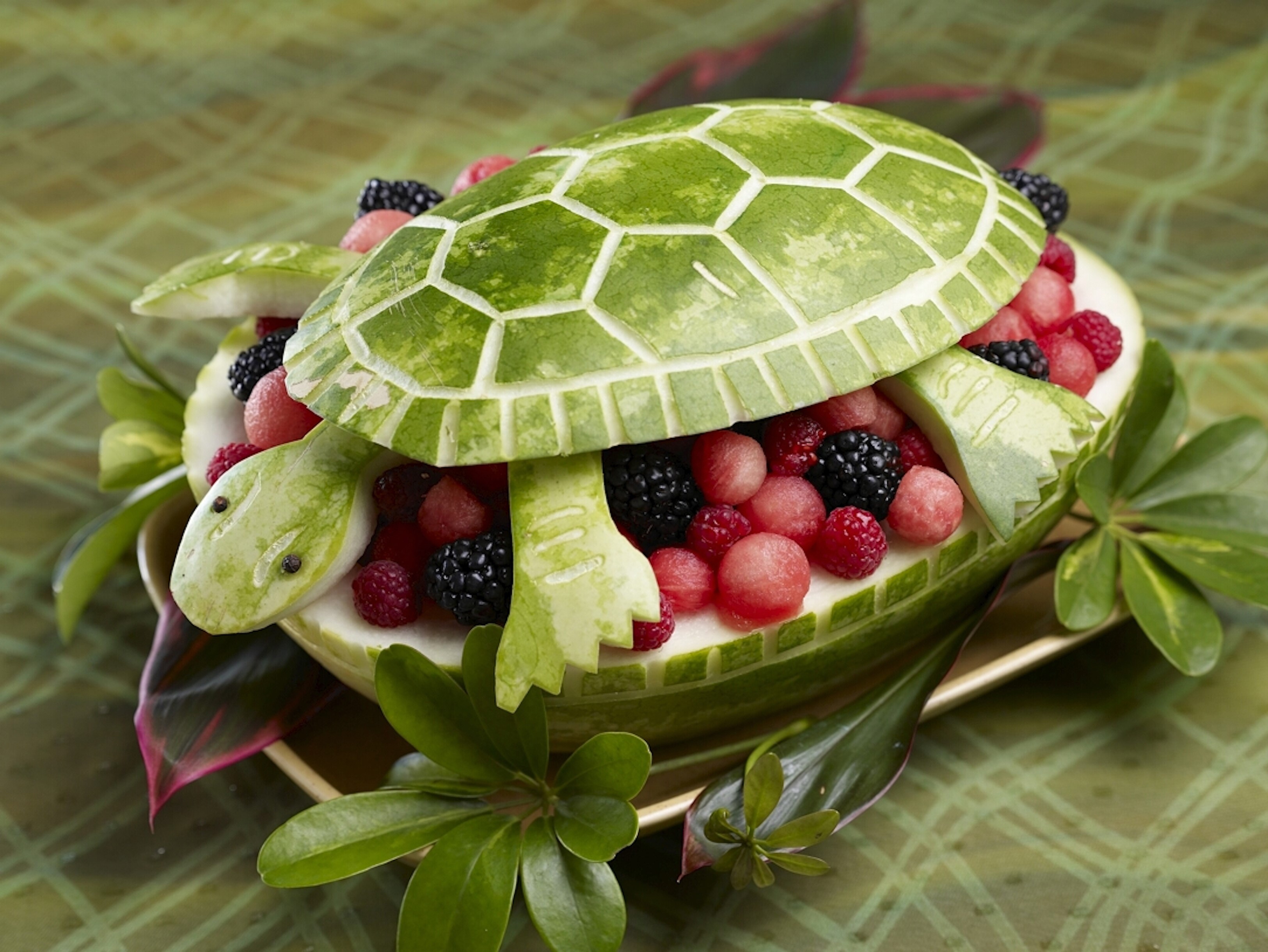 Watermelon turtle carved with berries HD Wallpaper