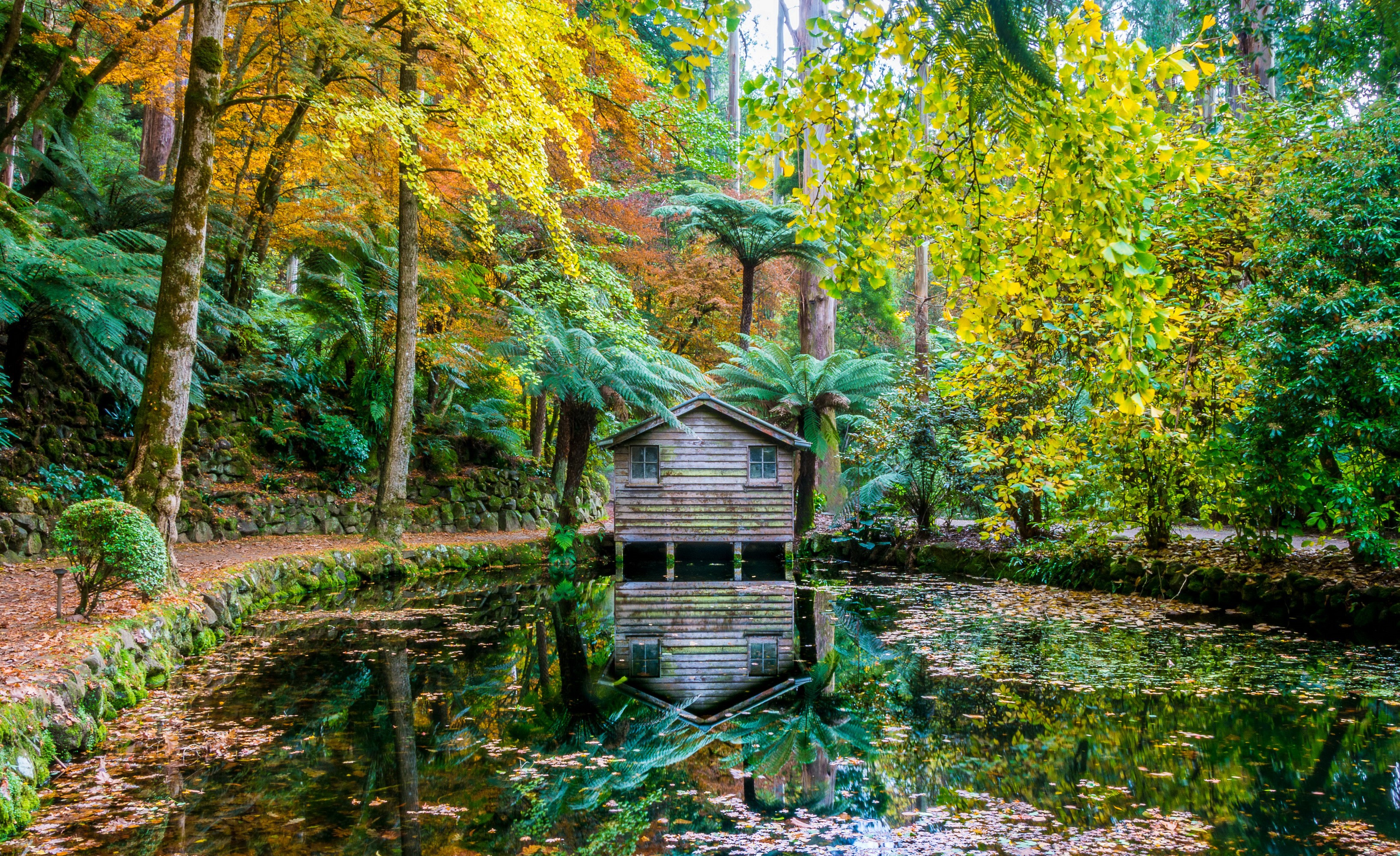 Wooden boathouse on a pond in Alfred Nicholas Memorial Gardens, Australia HD Wallpaper
