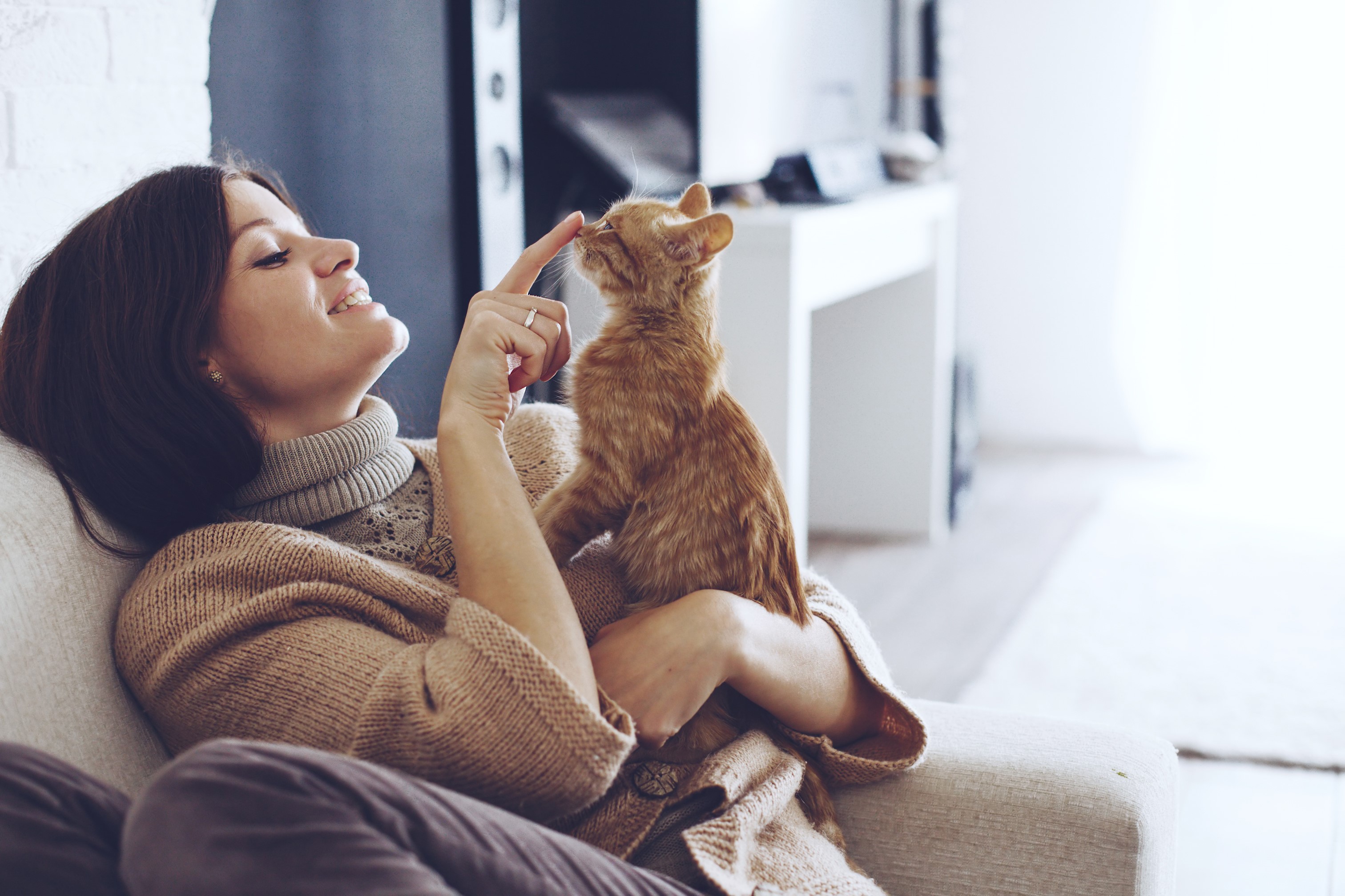 Woman playing with an orange kitten on a couch HD Wallpaper
