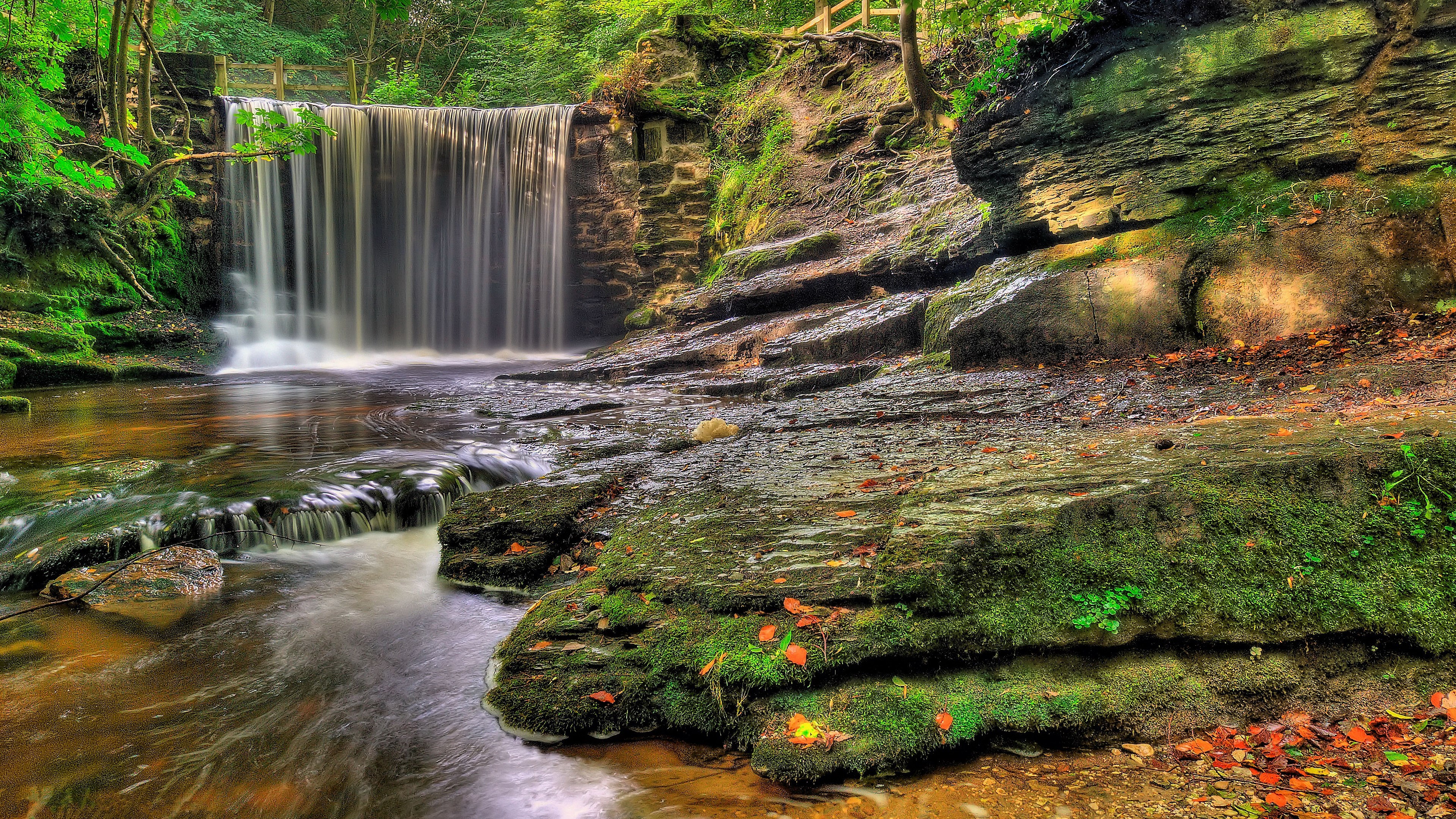 Waterfall cascading over rocks in a forest HD Wallpaper