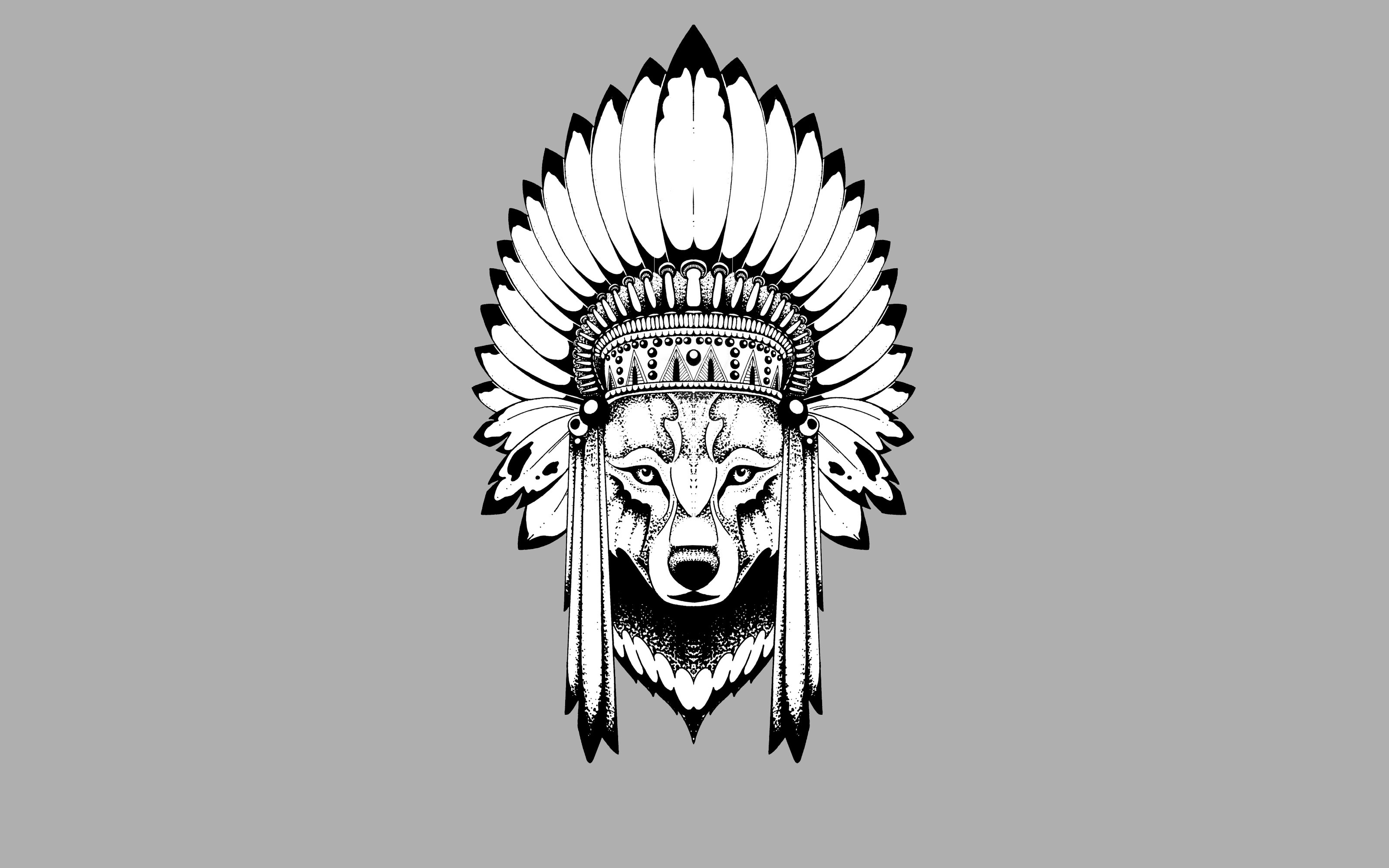 Wolf wearing a Native American war bonnet HD Wallpaper