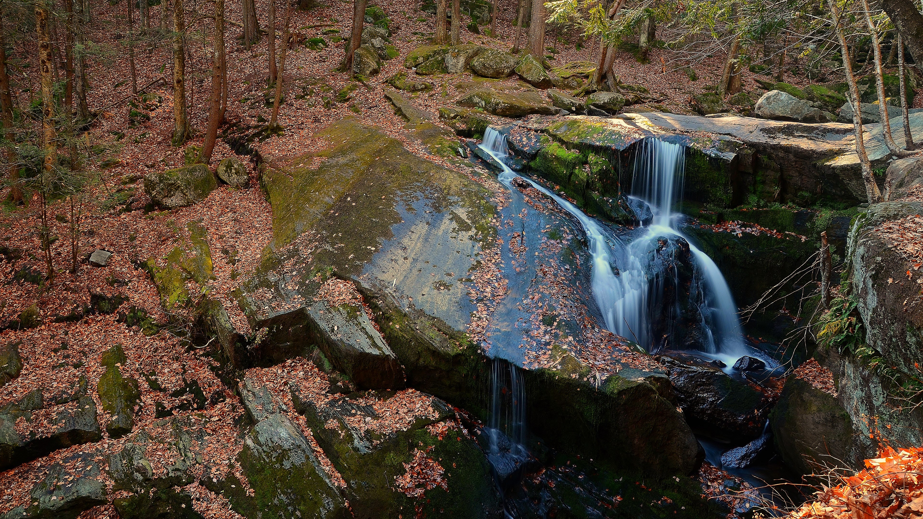 Waterfall cascading over mossy rocks in a forest HD Wallpaper