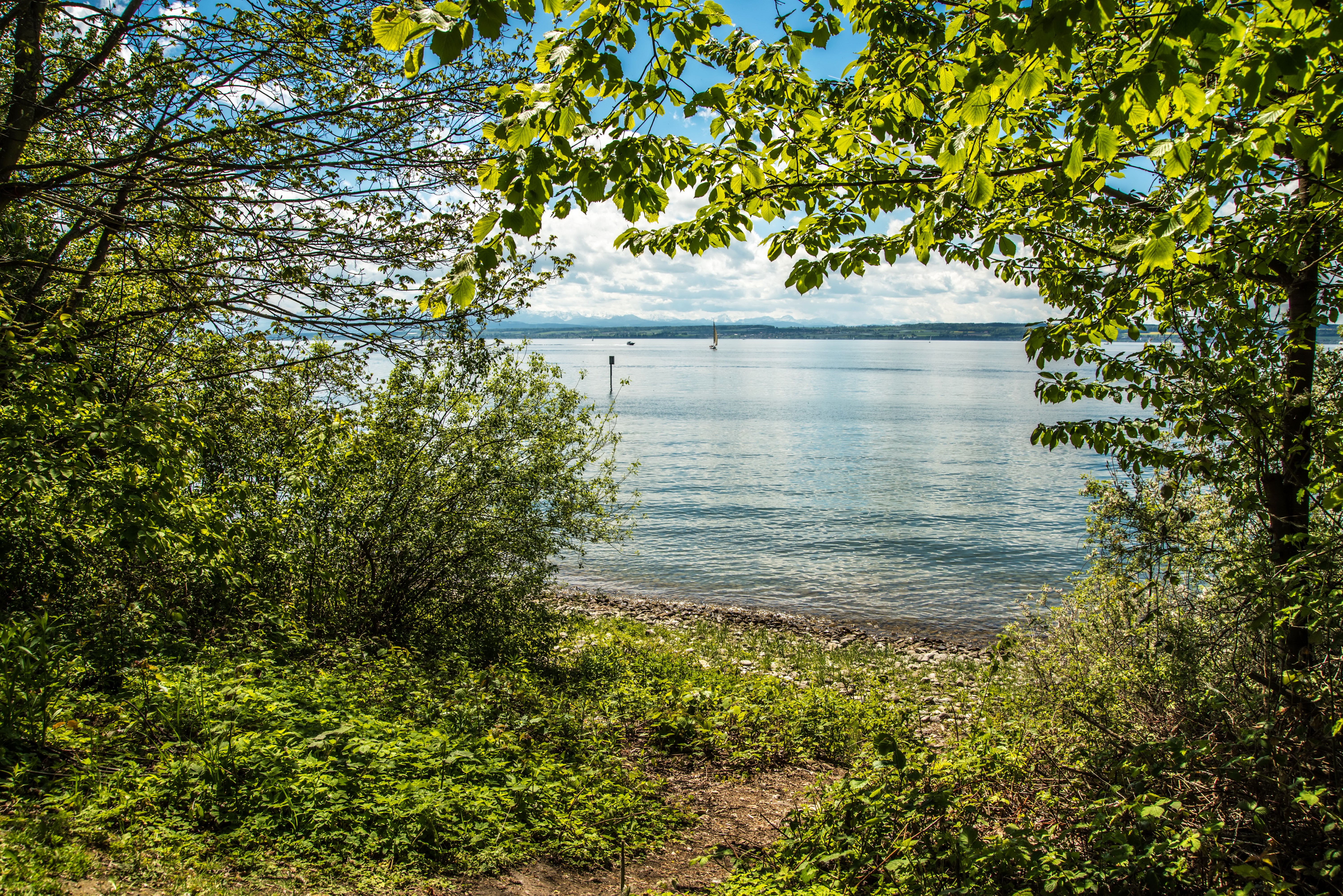 Lake with trees and sailboats in Stetten, Germany HD Wallpaper