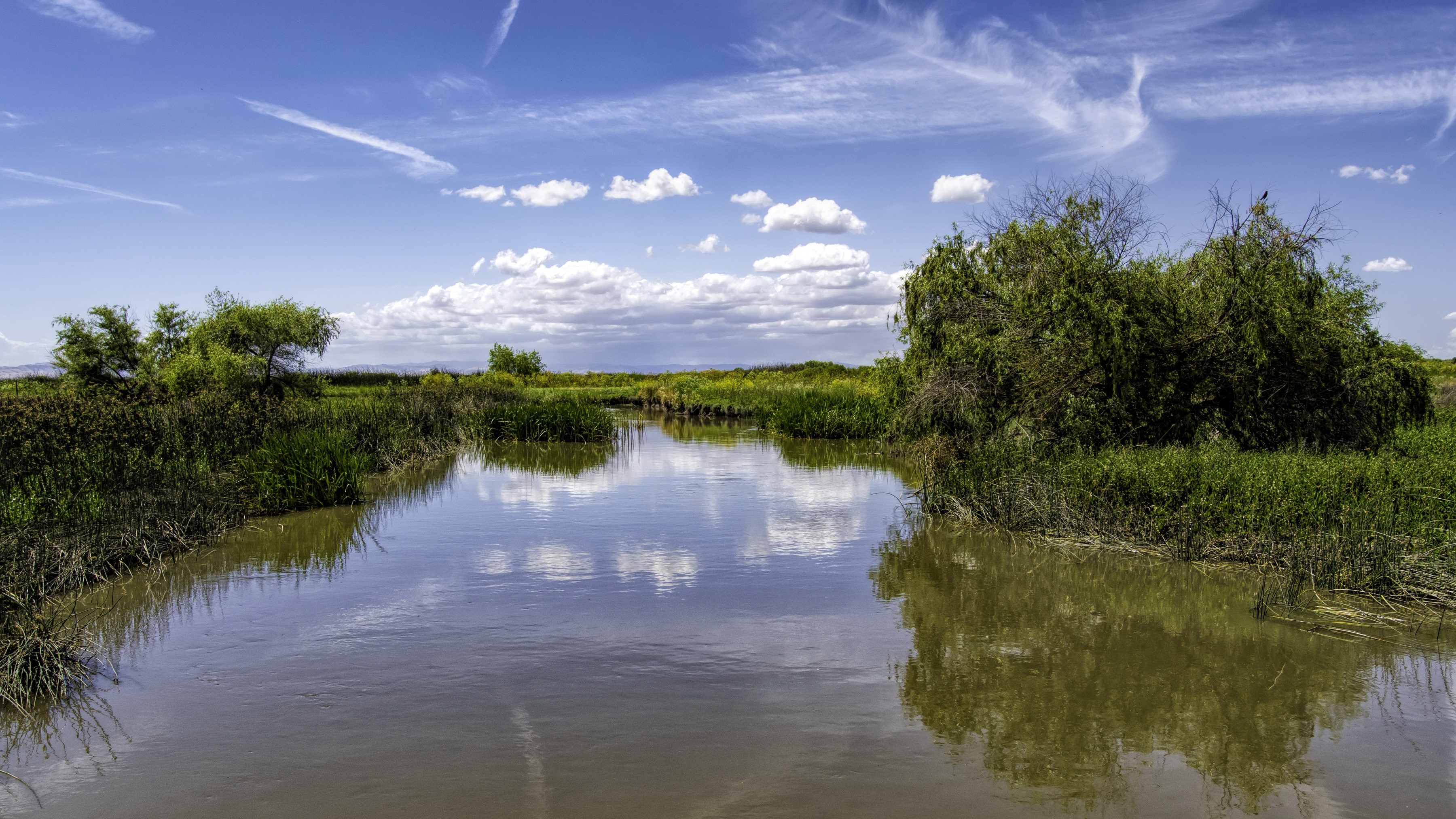 River and marshland in Los Banos, California under a cloudy sky HD Wallpaper