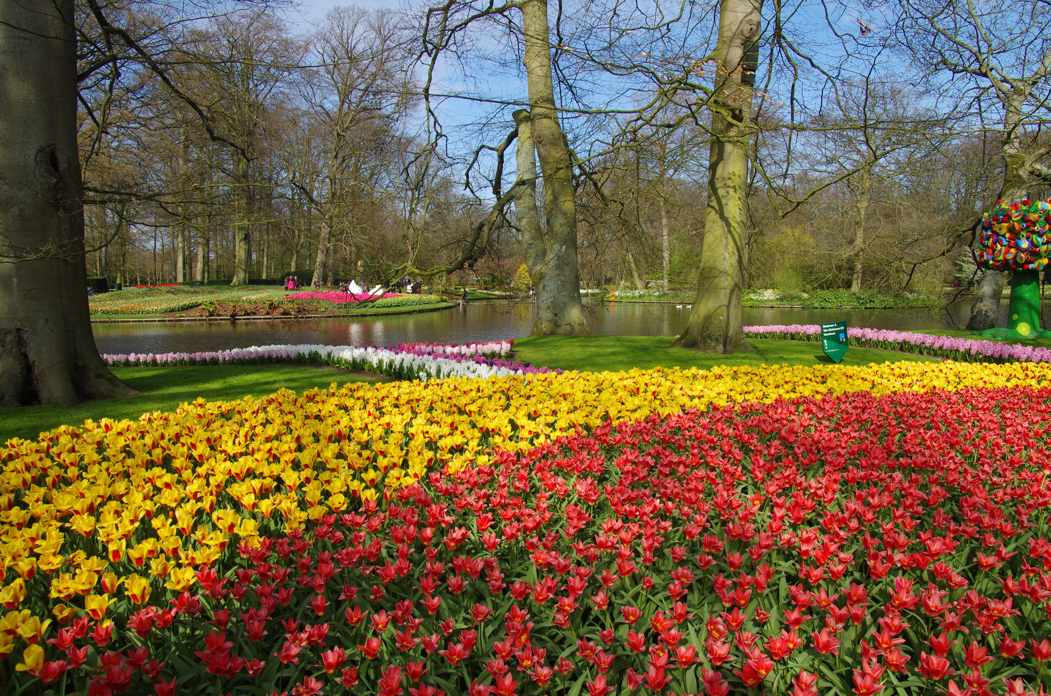 Keukenhof Gardens with Tulips and Pond, Netherlands HD Wallpaper