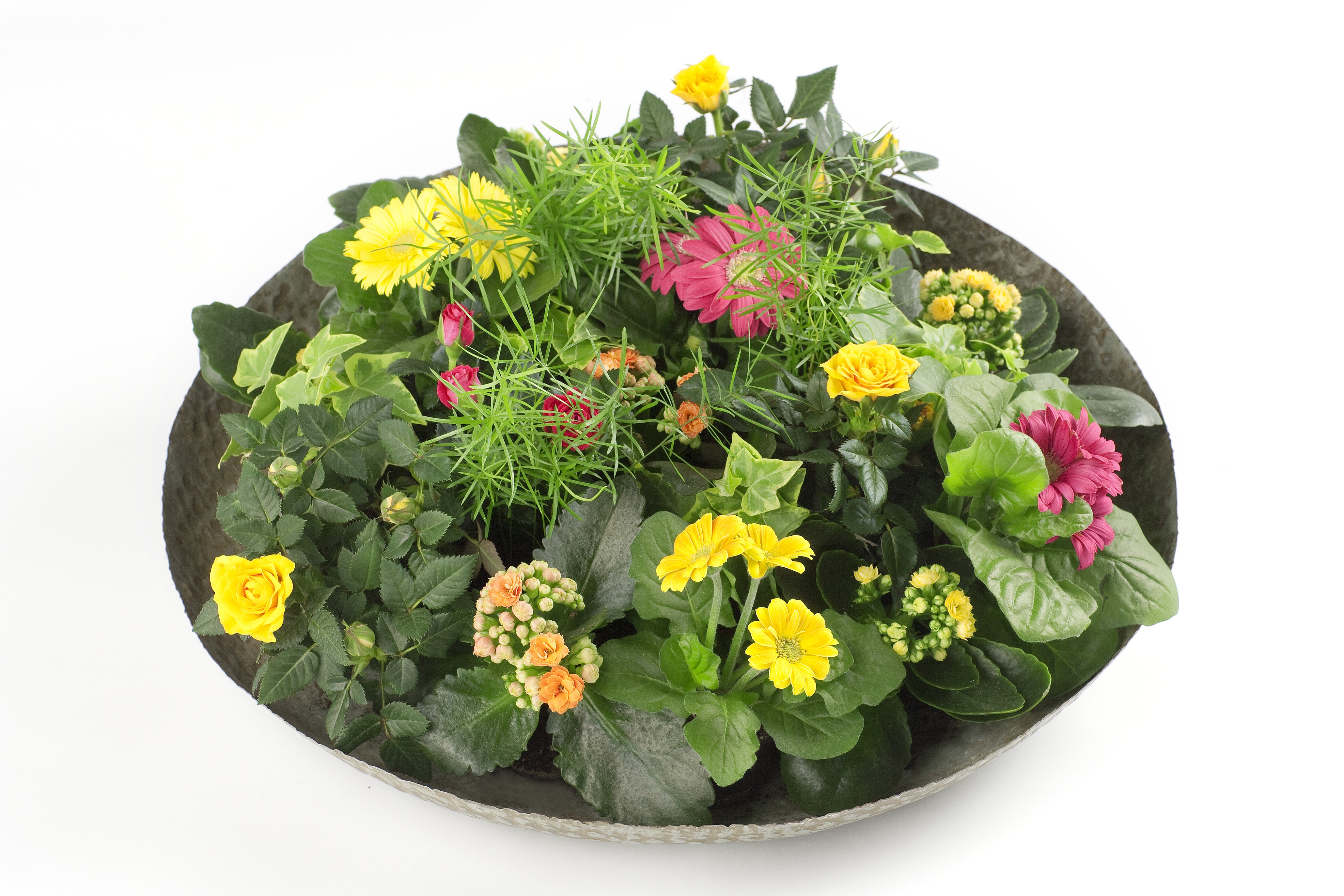 Assorted Flowers in a Bowl HD Wallpaper