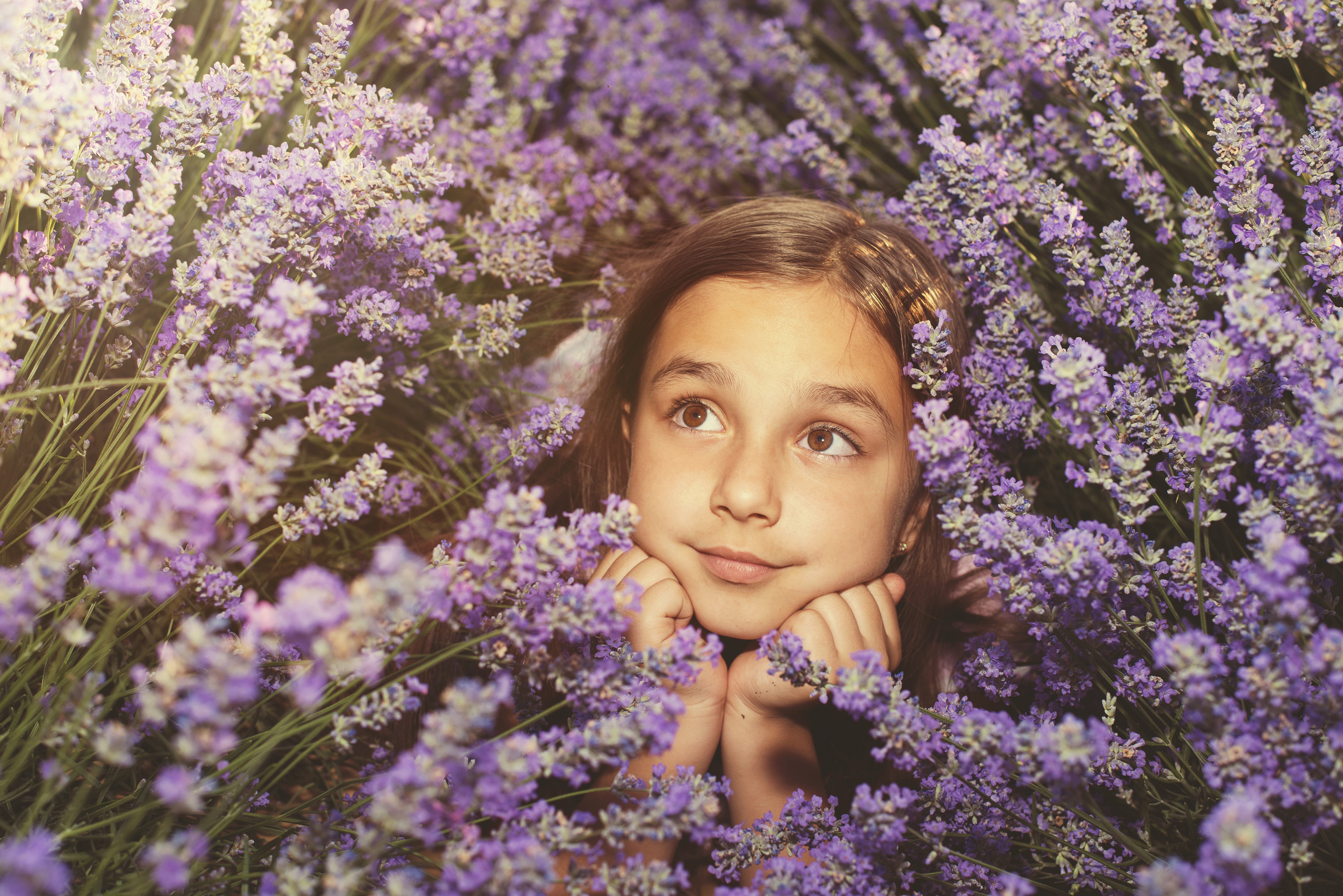Girl in Lavender Field HD Wallpaper
