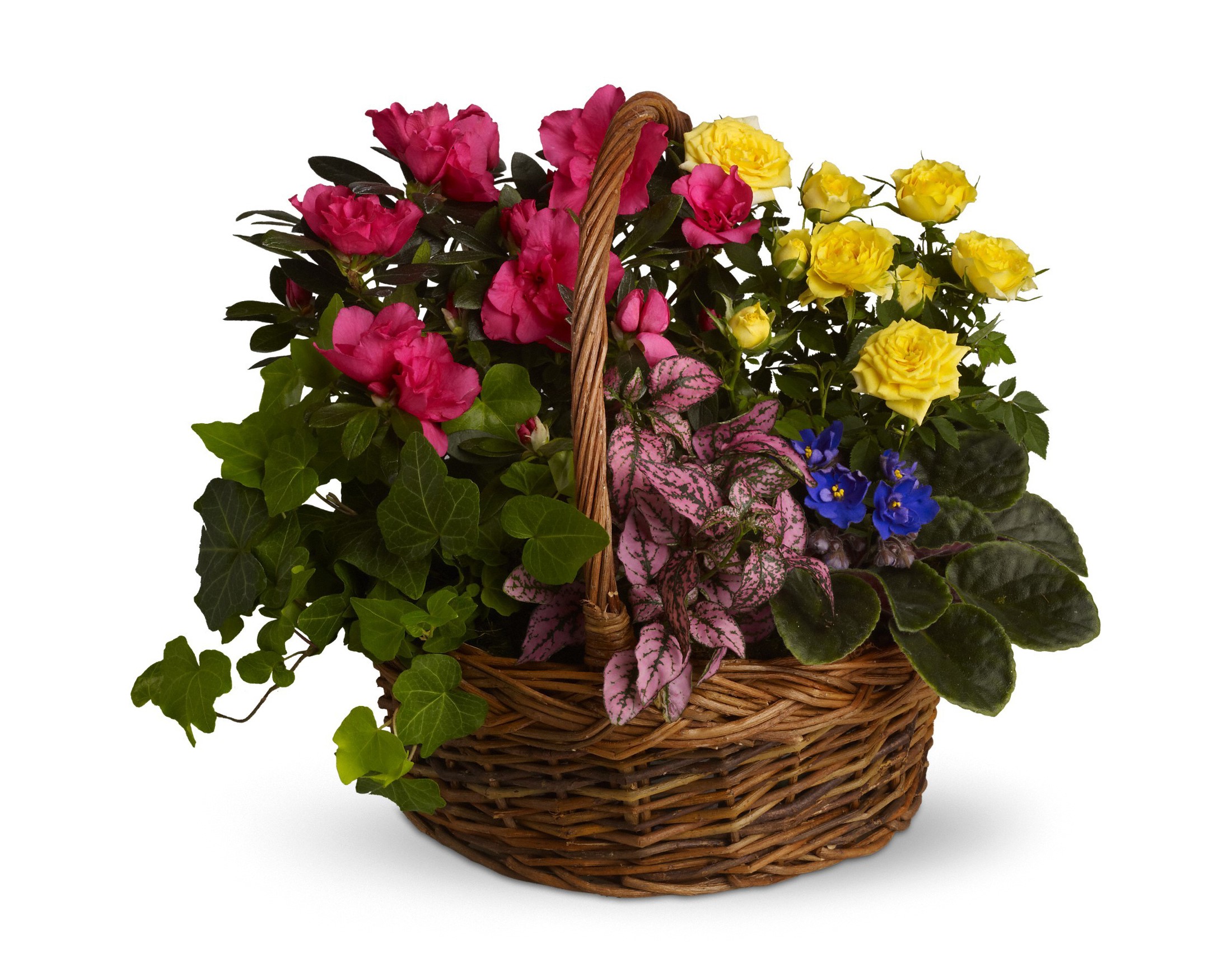 Assorted Flowers in Wicker Basket HD Wallpaper
