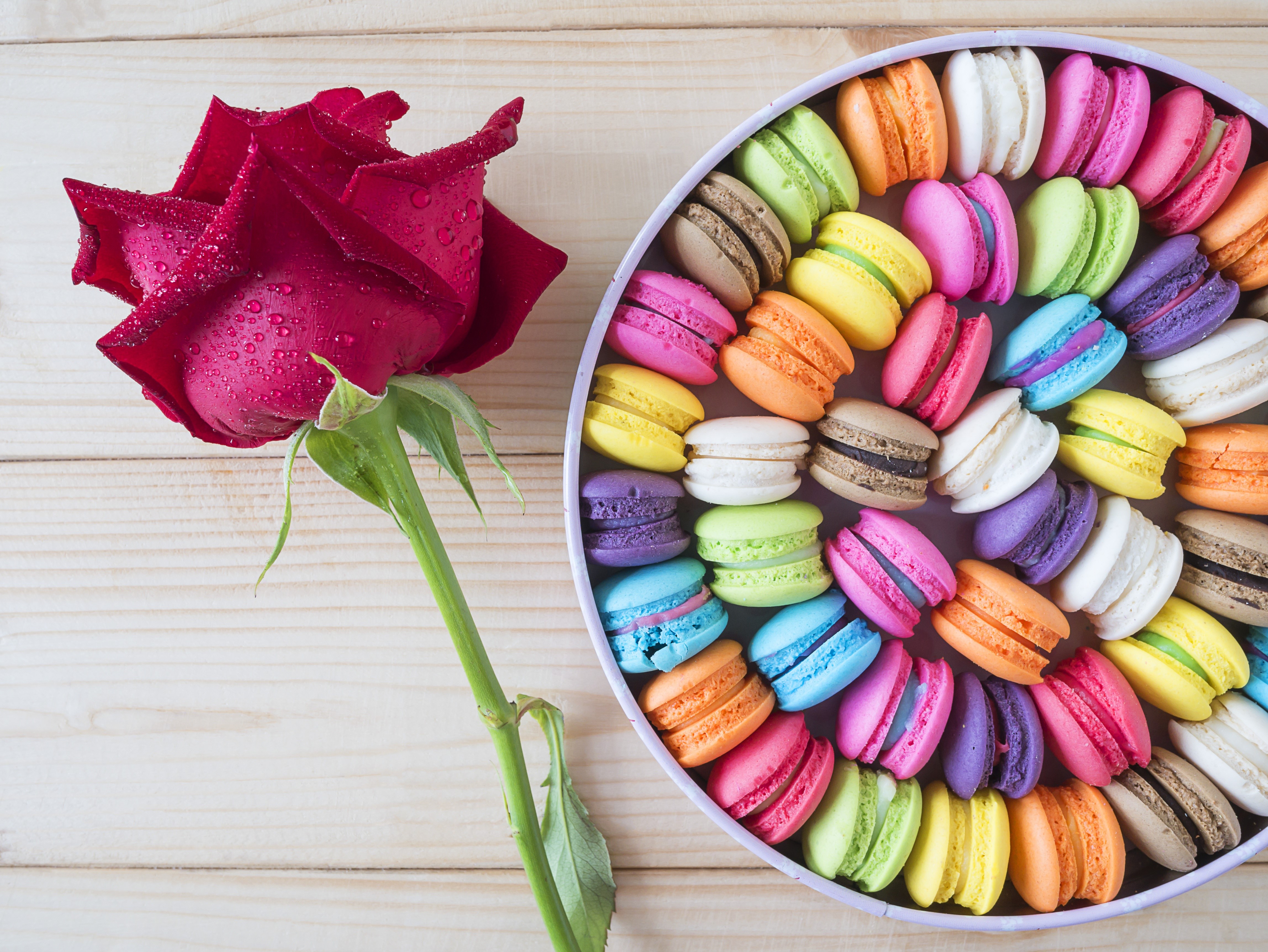 Red Rose and Multicolor Macarons in a Box HD Wallpaper