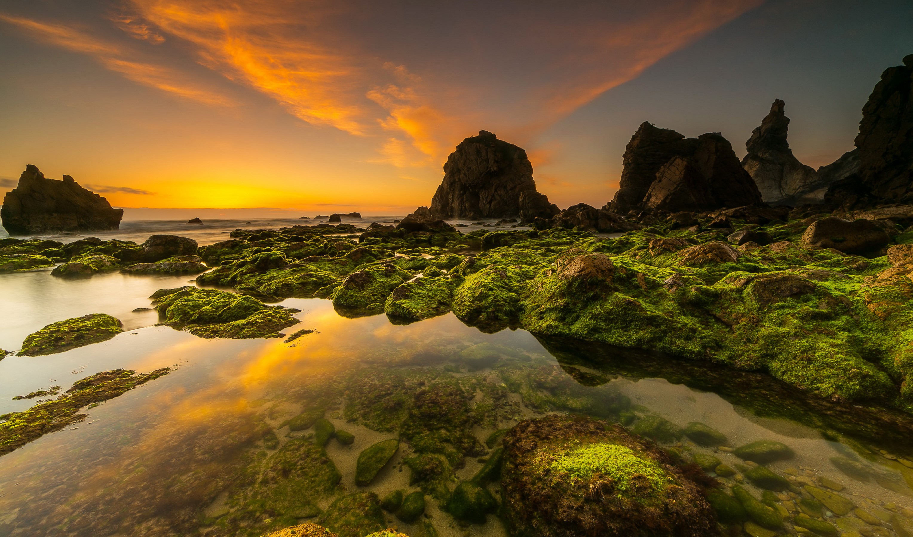 Mossy rocks and sea stacks at sunset in Adraga, Portugal HD Wallpaper