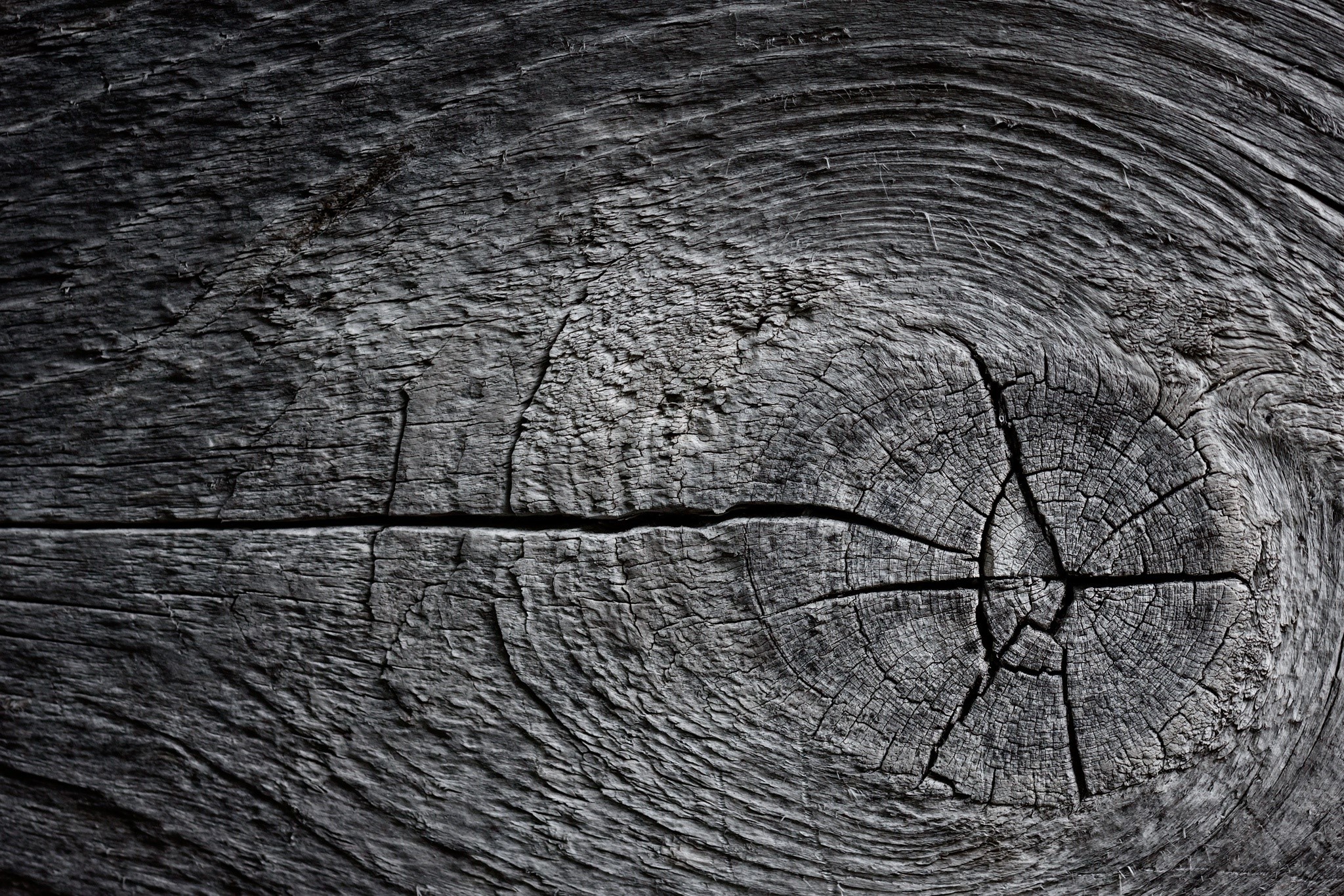 Close-up of weathered, dark wood grain texture HD Wallpaper