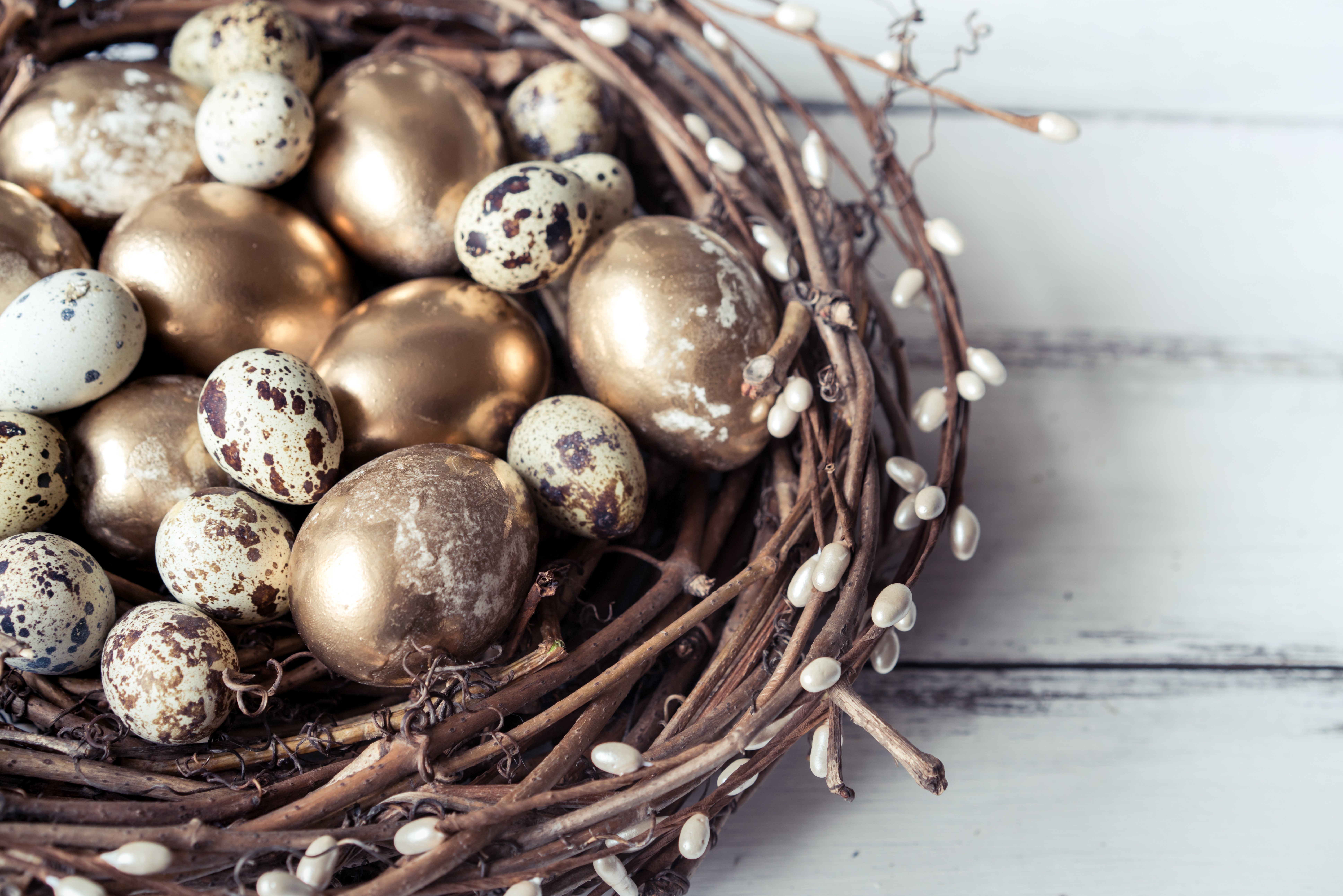 Golden and speckled eggs in a nest HD Wallpaper