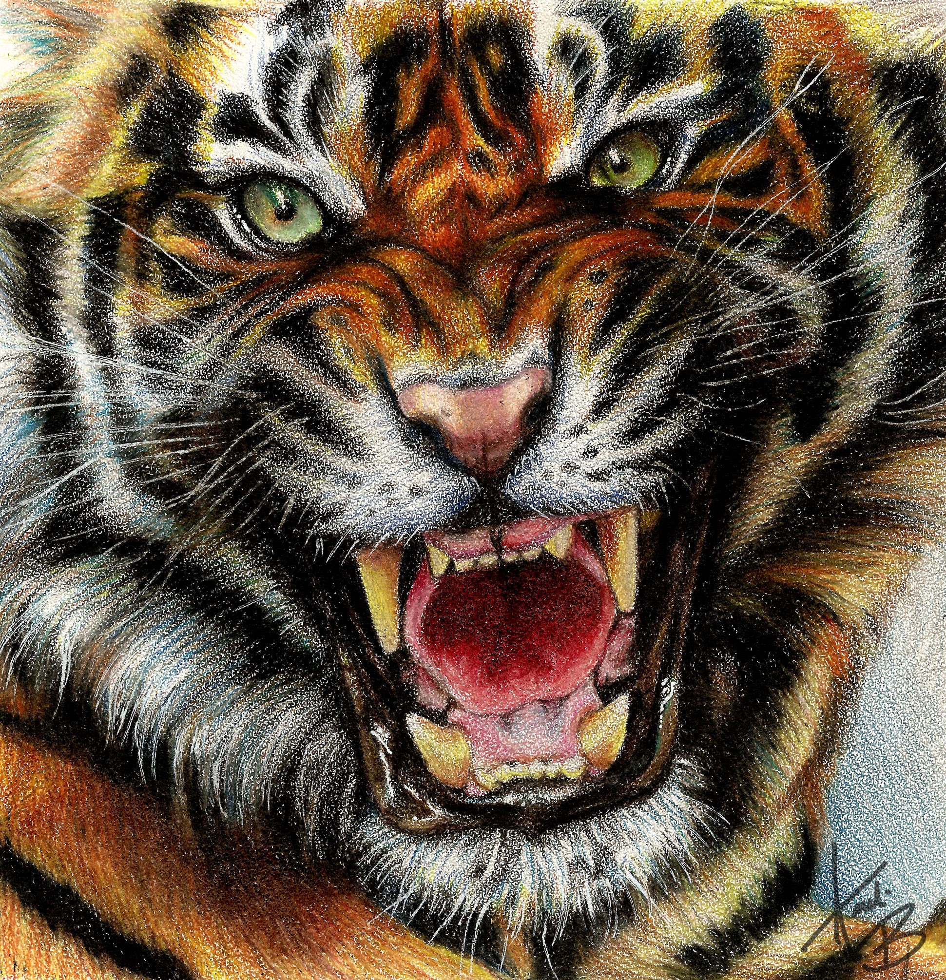 Close-up painting of a roaring tiger HD Wallpaper