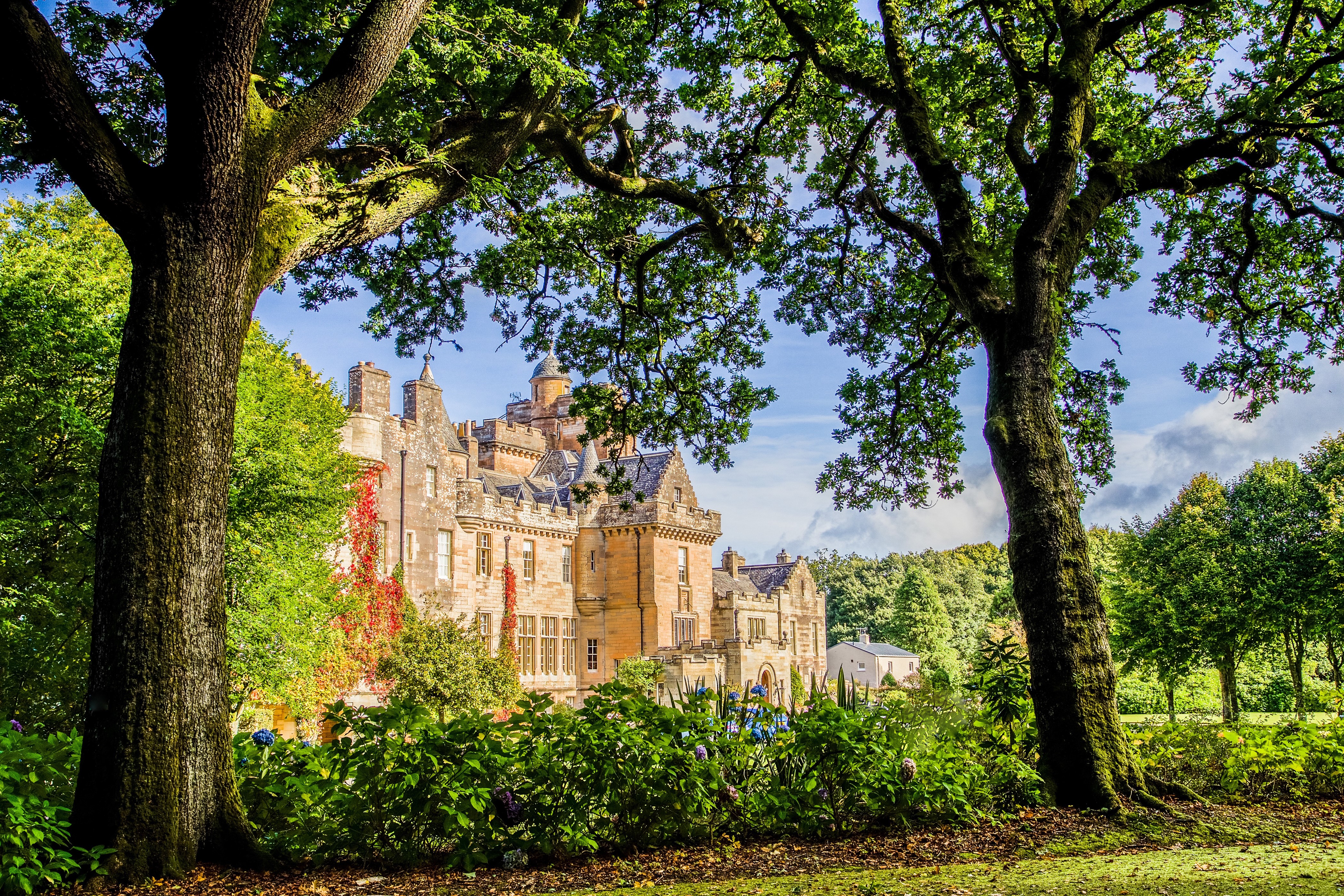 Glenapp Castle, Scotland, with trees and shrubs HD Wallpaper