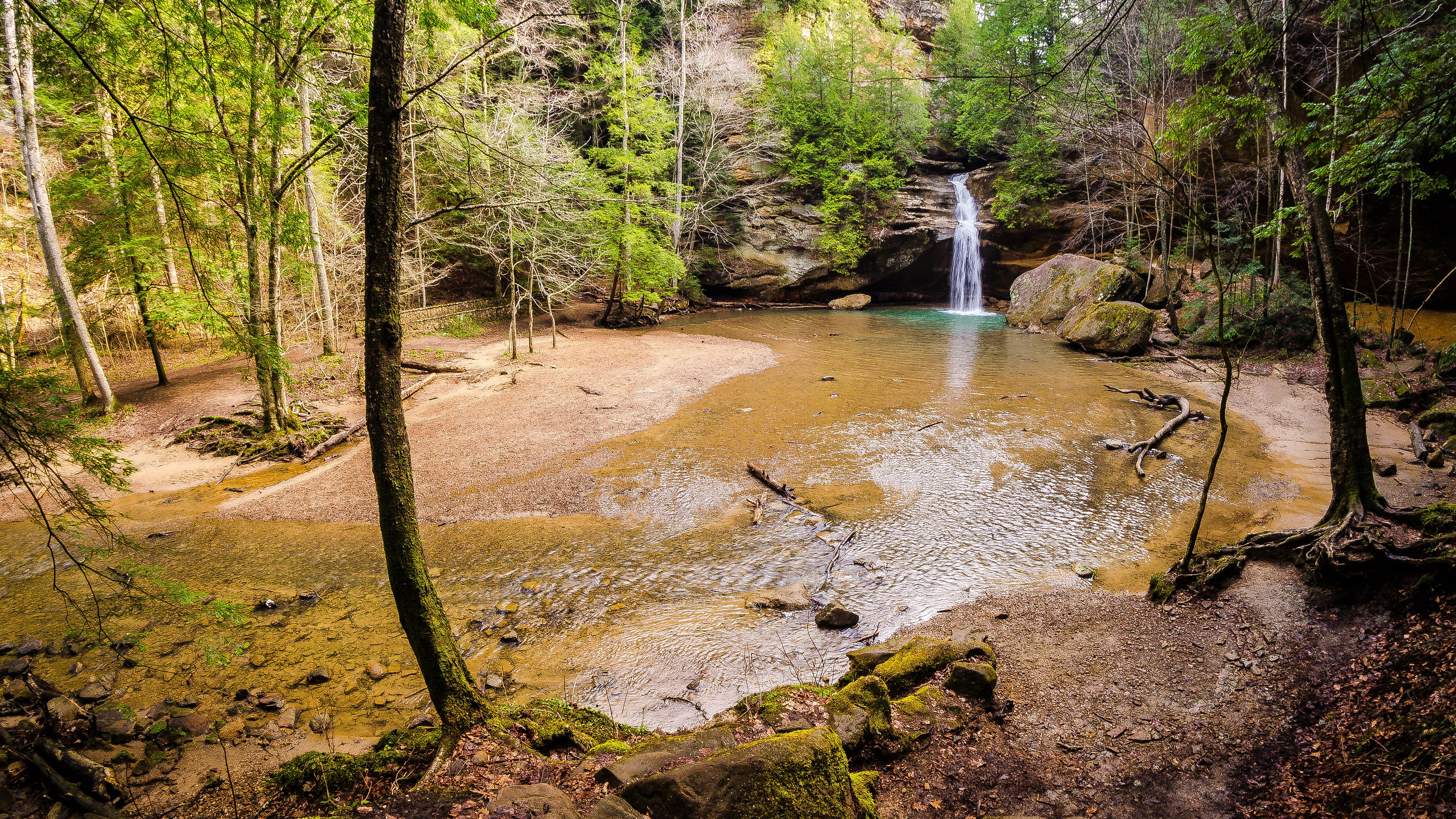 Waterfall cascading into a pool in a forest HD Wallpaper