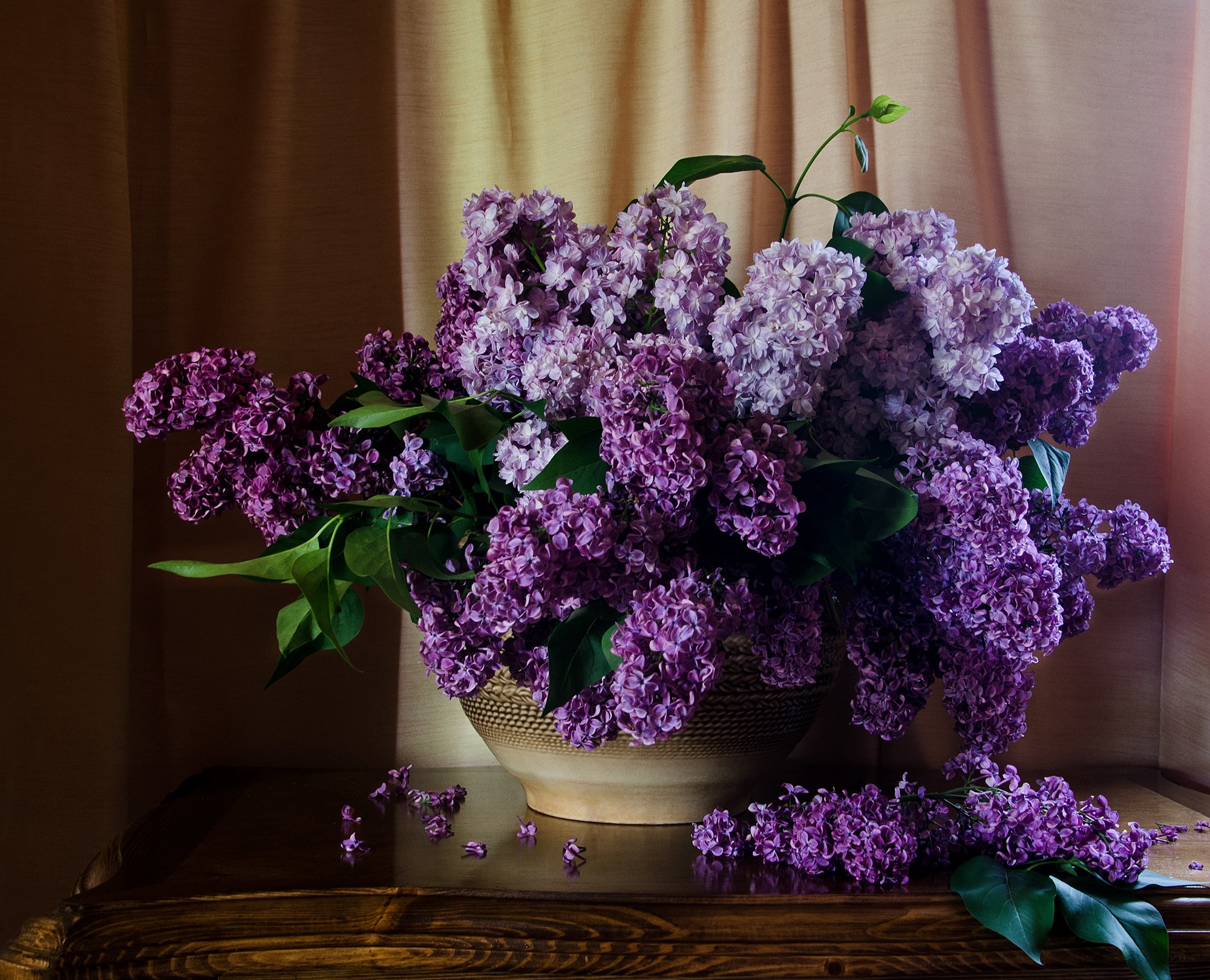 Bouquet of purple and pink lilacs in a vase HD Wallpaper