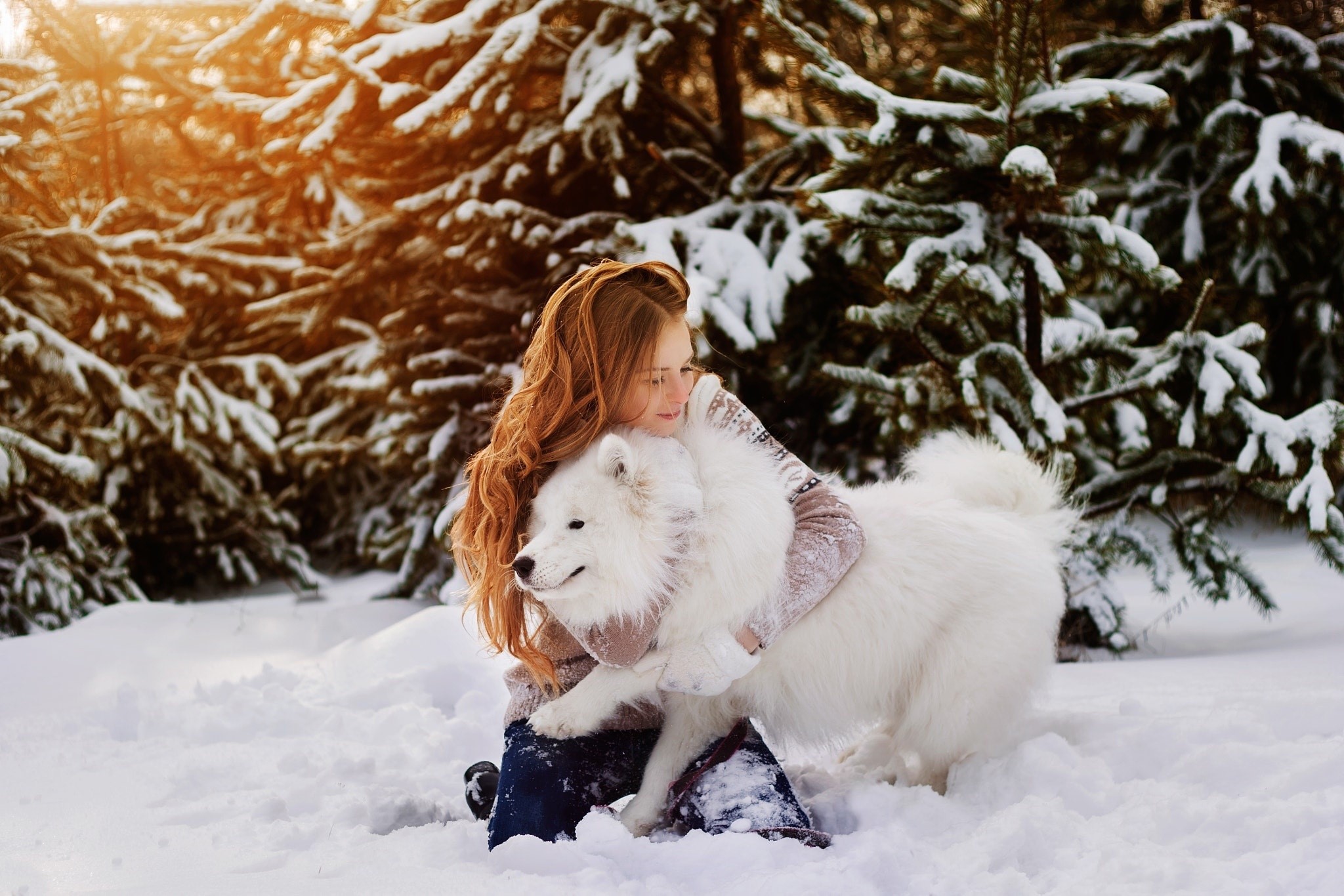 Girl hugging a white dog in the snow HD Wallpaper
