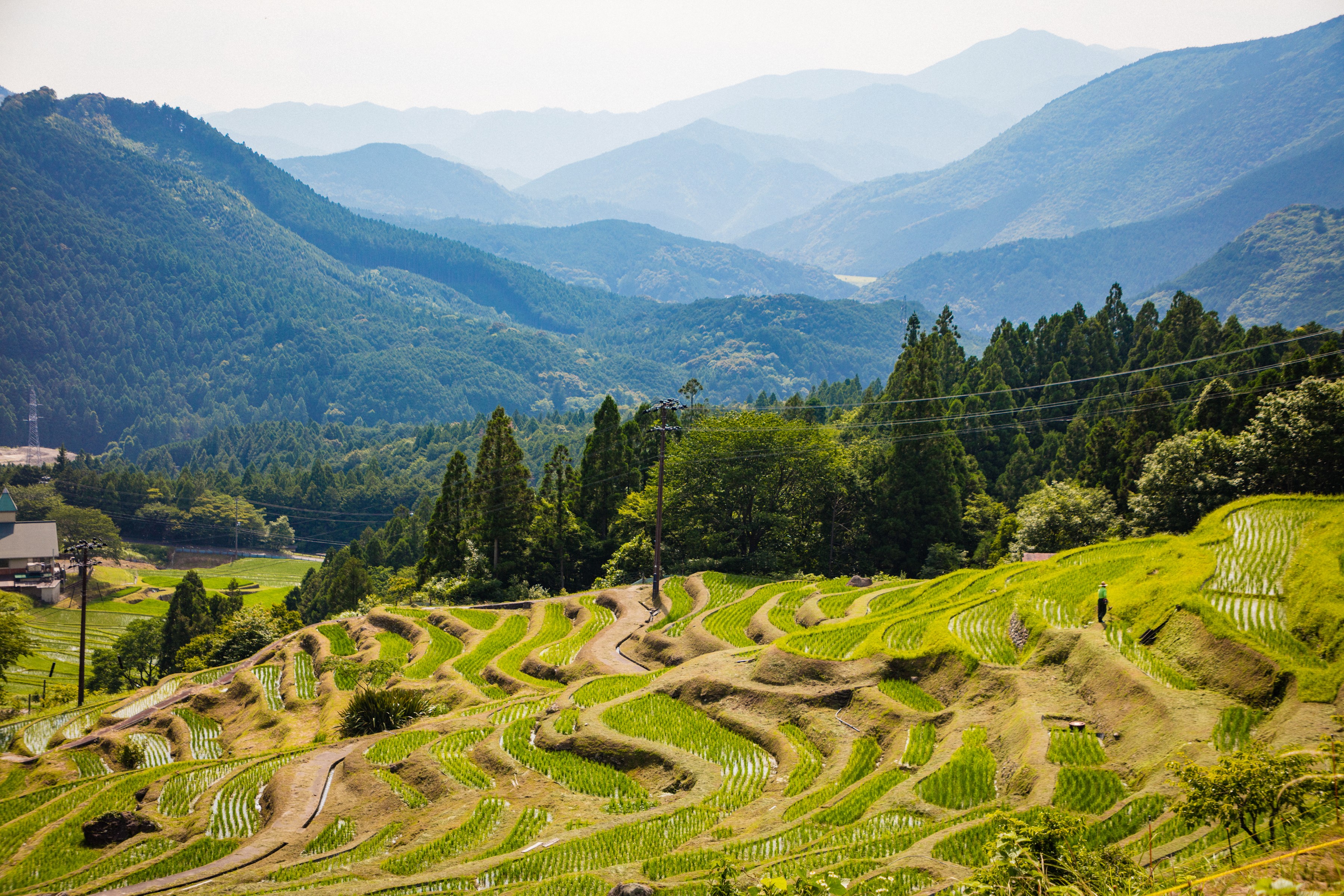 Terraced Rice Fields in Mountains of Japan HD Wallpaper