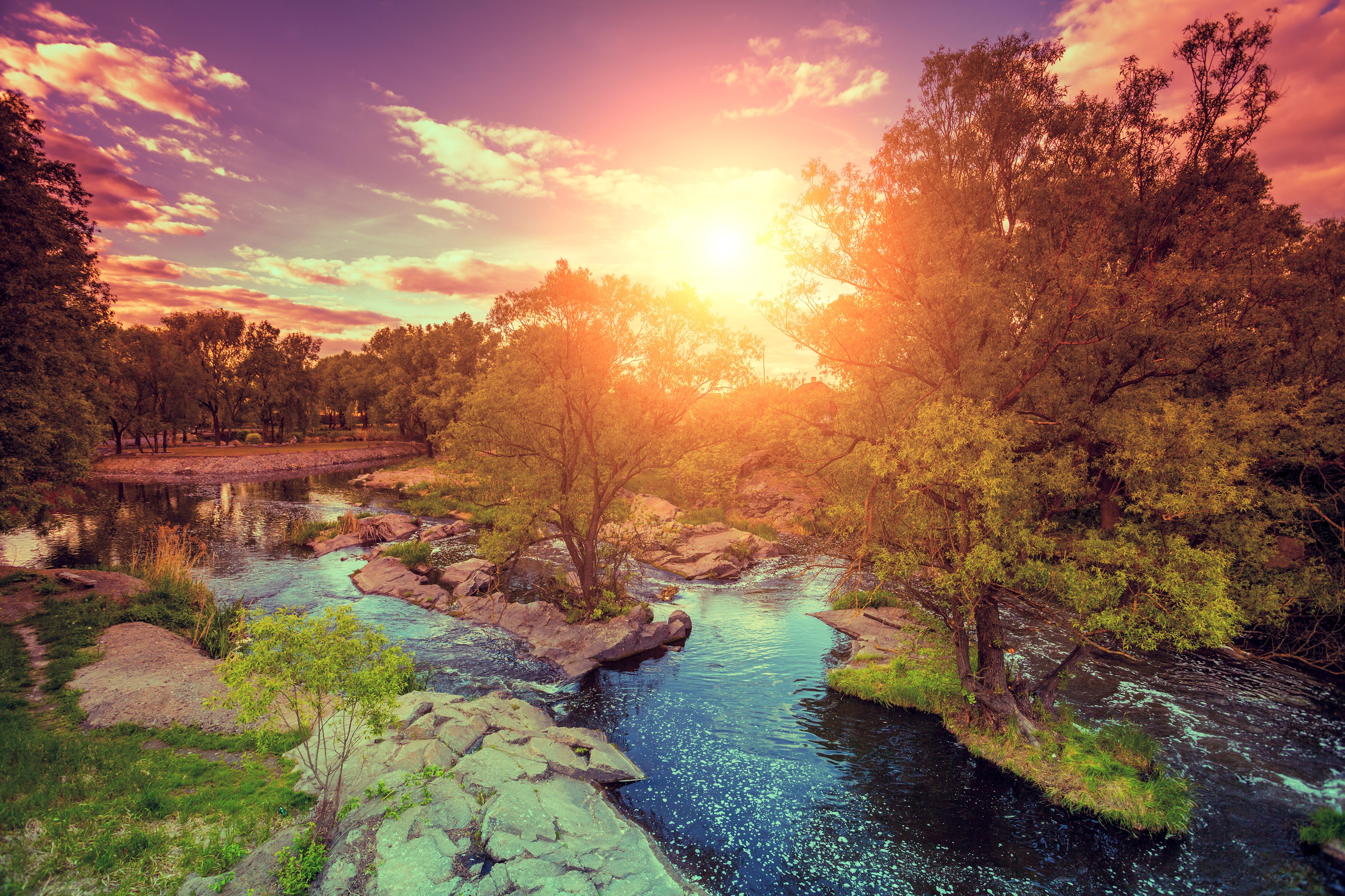River flowing through trees at sunset HD Wallpaper