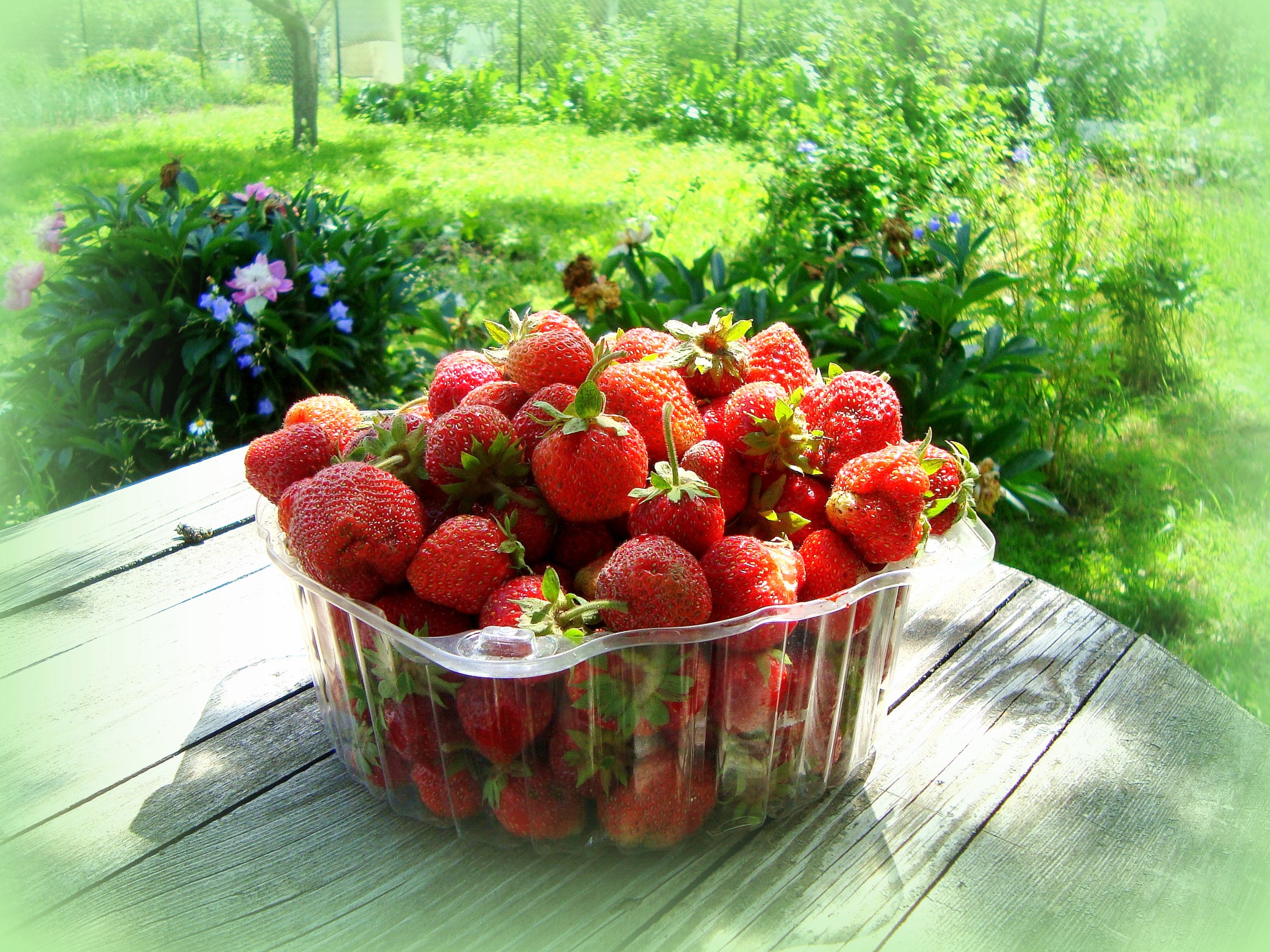 Container of fresh strawberries on a wooden table HD Wallpaper