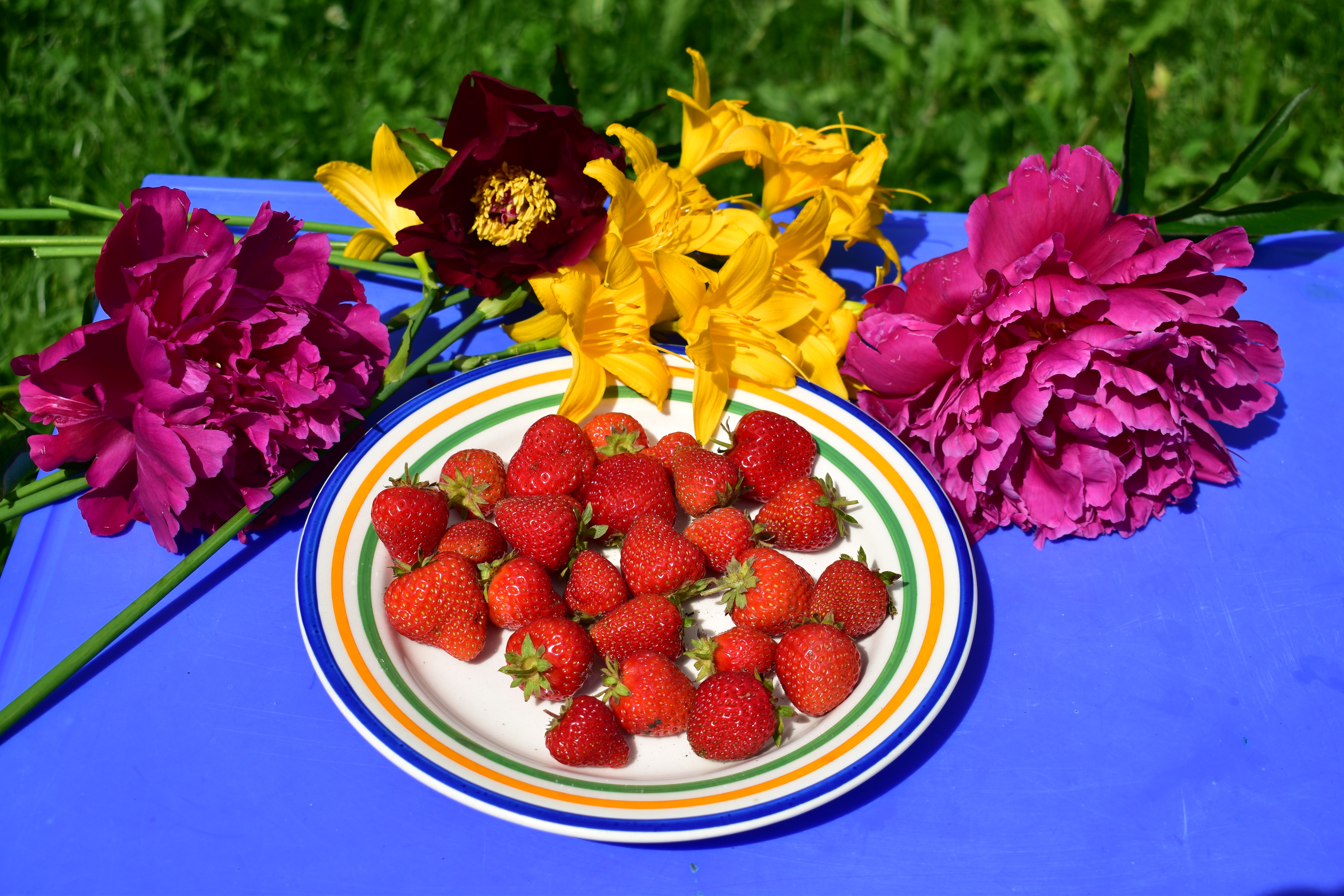 Strawberries on a plate with peonies and lilies HD Wallpaper