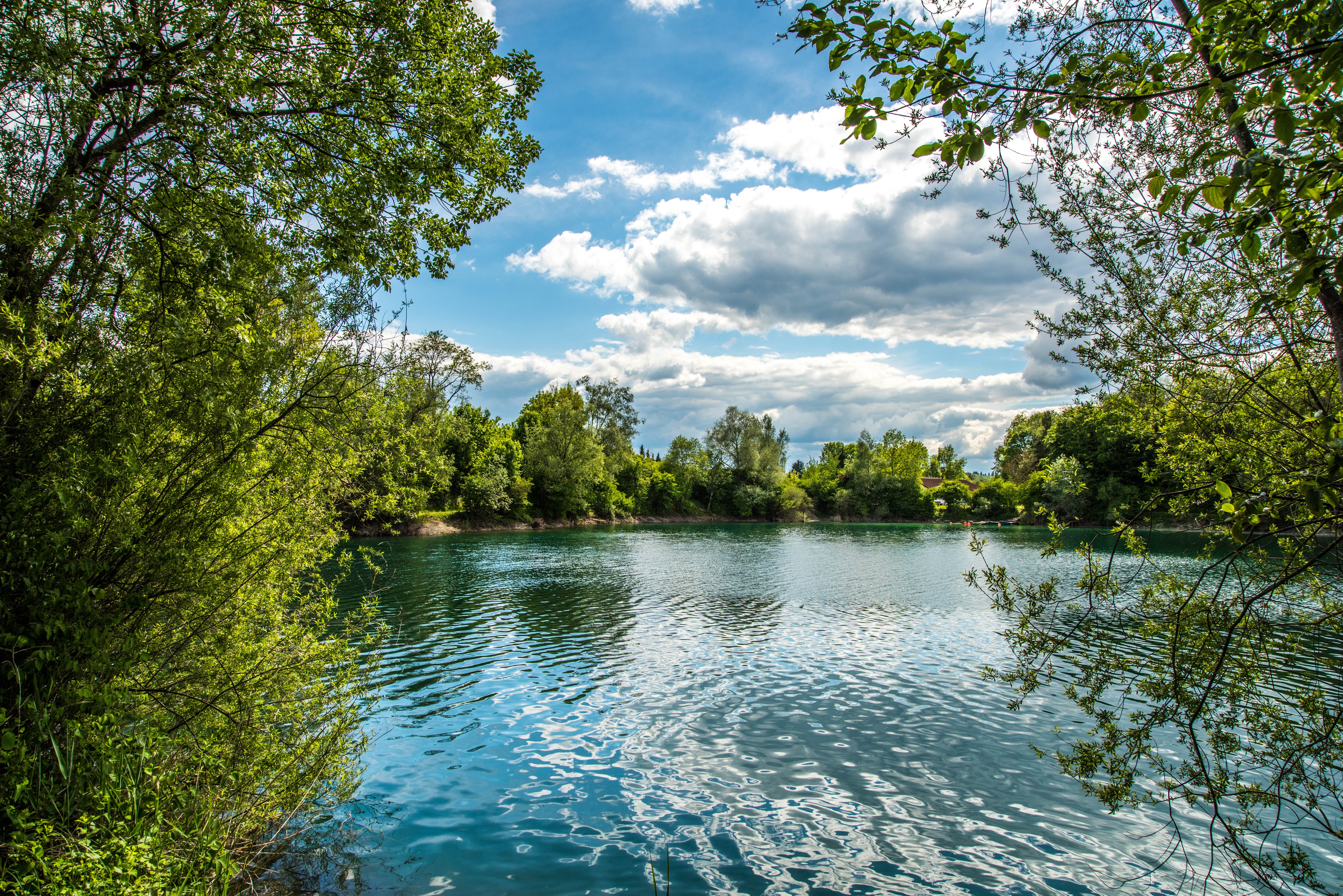 Lake with trees and clouds in Salem, Germany HD Wallpaper