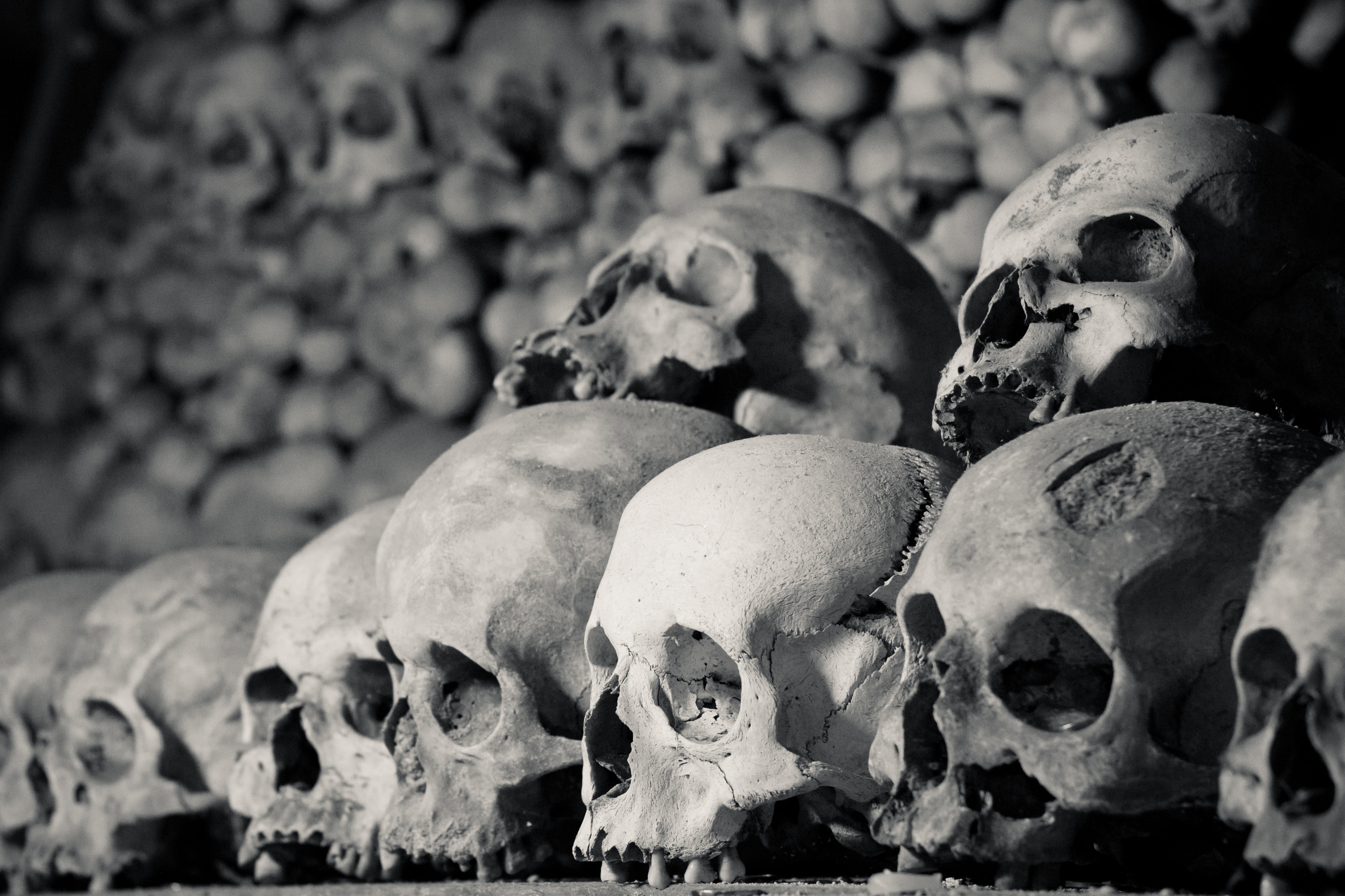 4K Skulls in Black and White HD Wallpaper