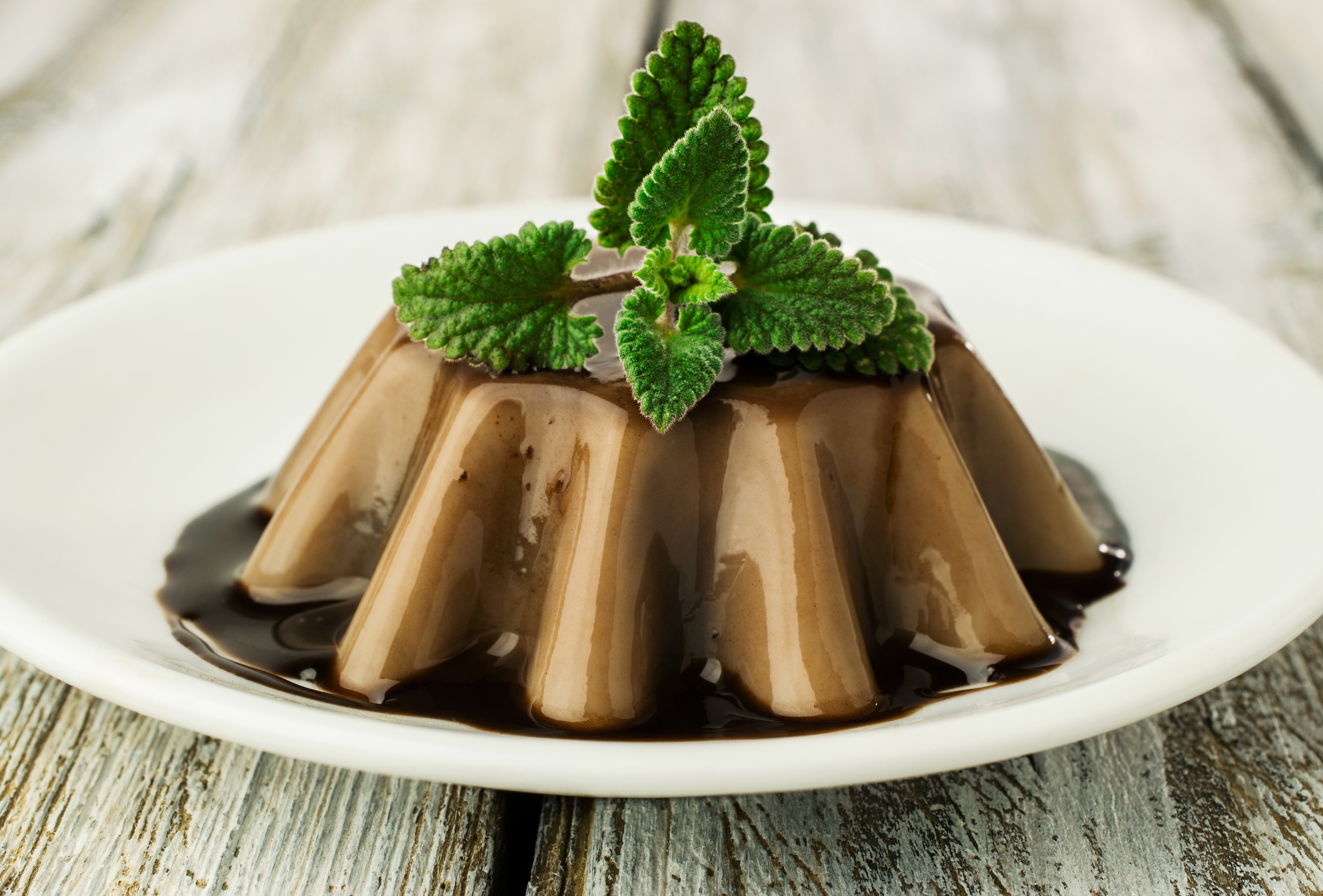 Chocolate gelatin dessert with mint on a plate HD Wallpaper