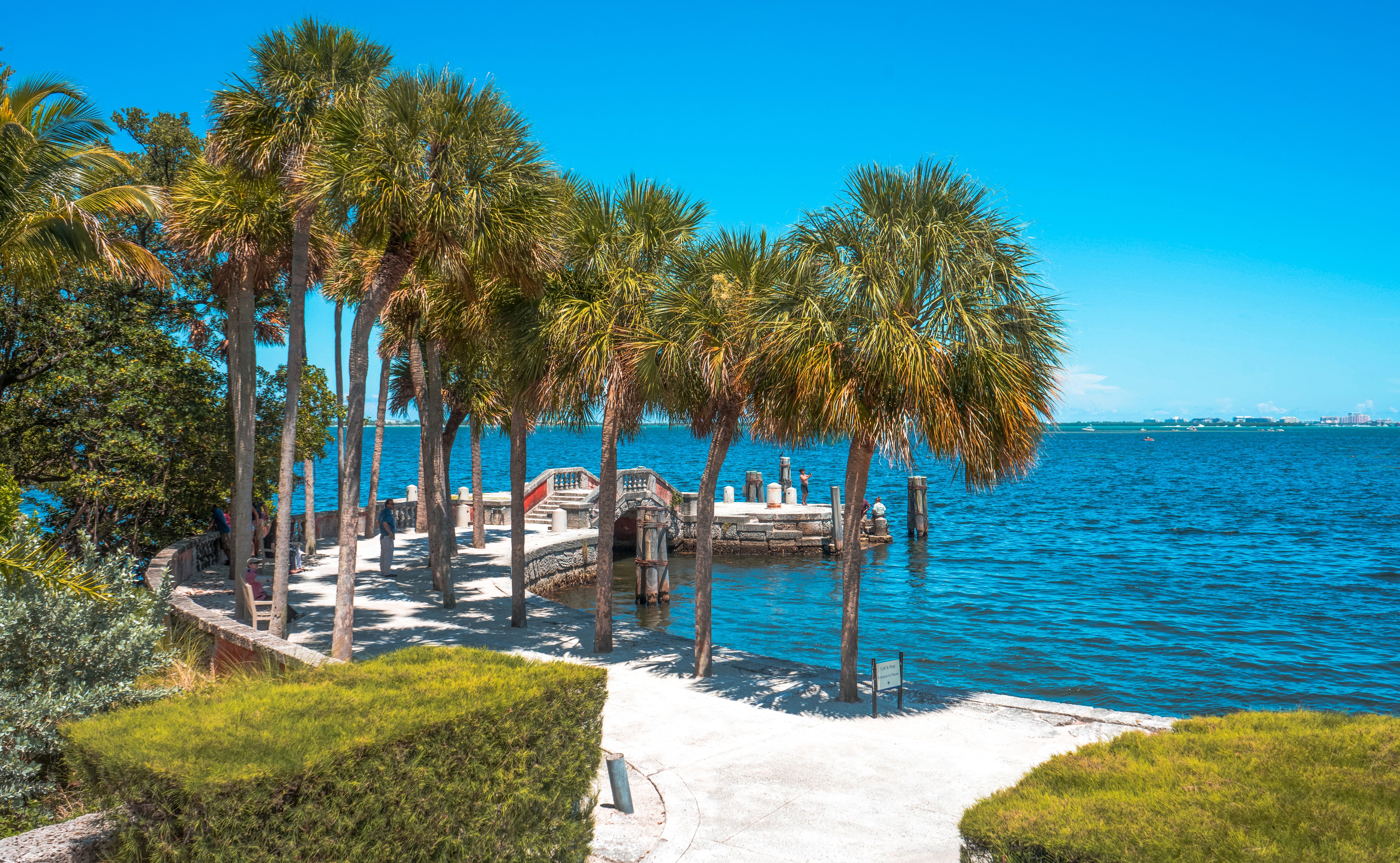 Miami Florida Coastline with Palm Trees and Bridge HD Wallpaper
