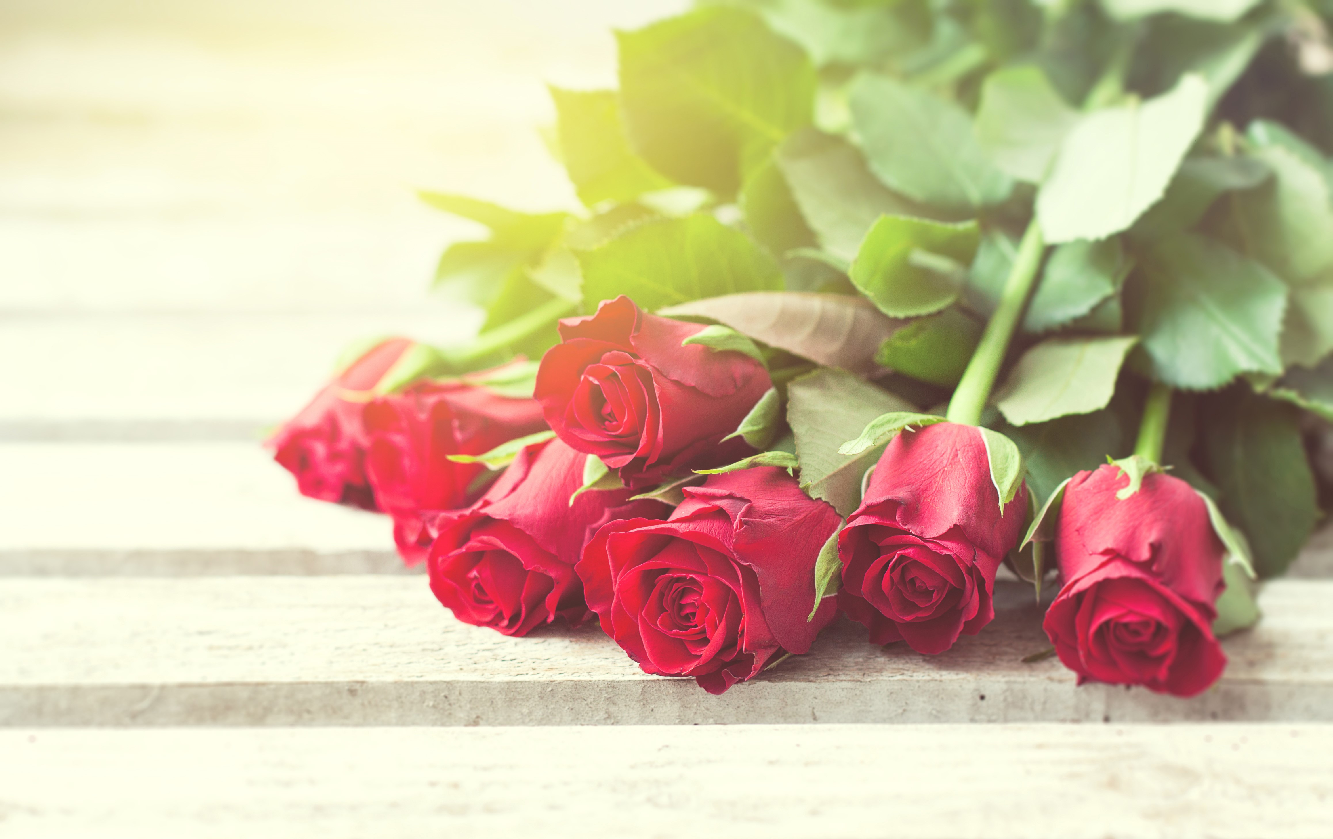 Red Roses on a Wooden Surface HD Wallpaper