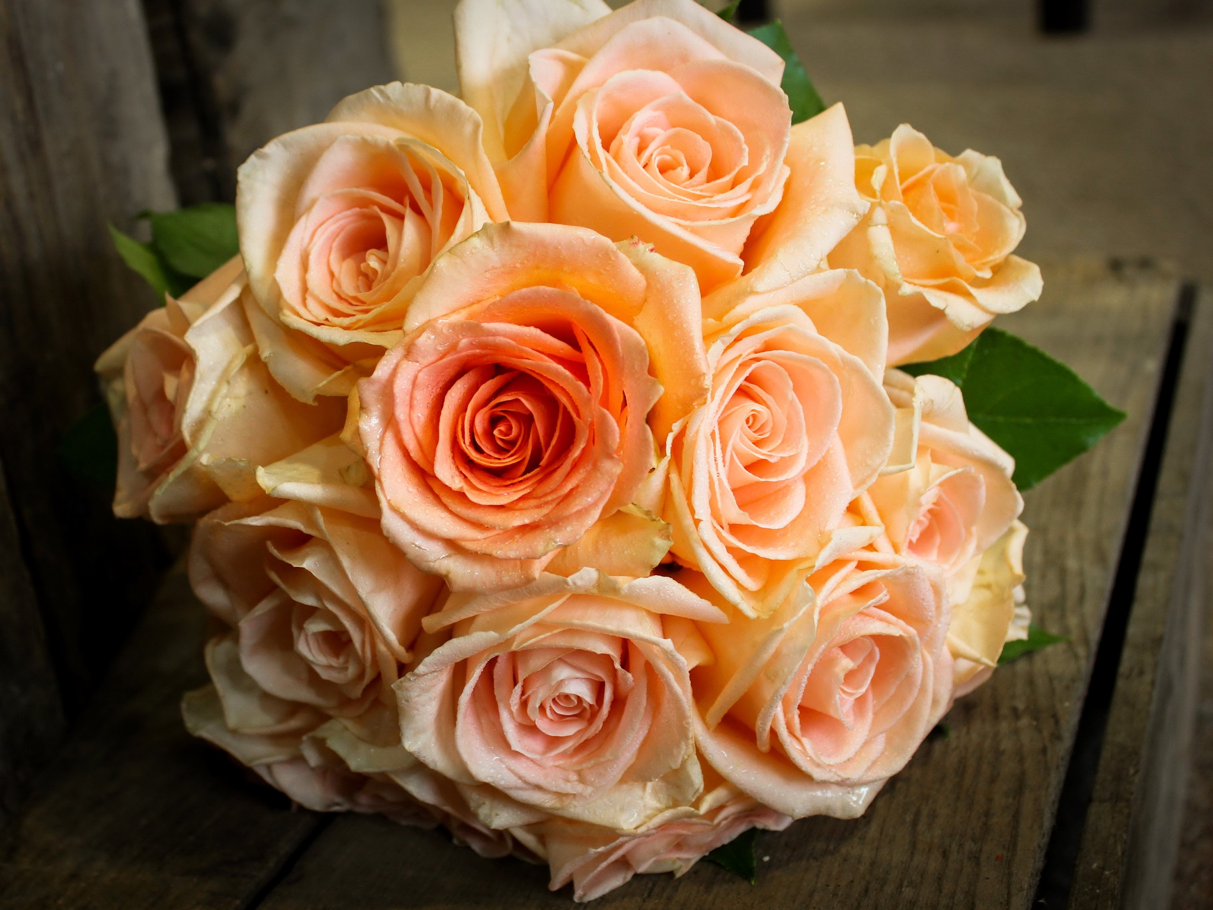Peach and coral roses bouquet on wooden surface HD Wallpaper