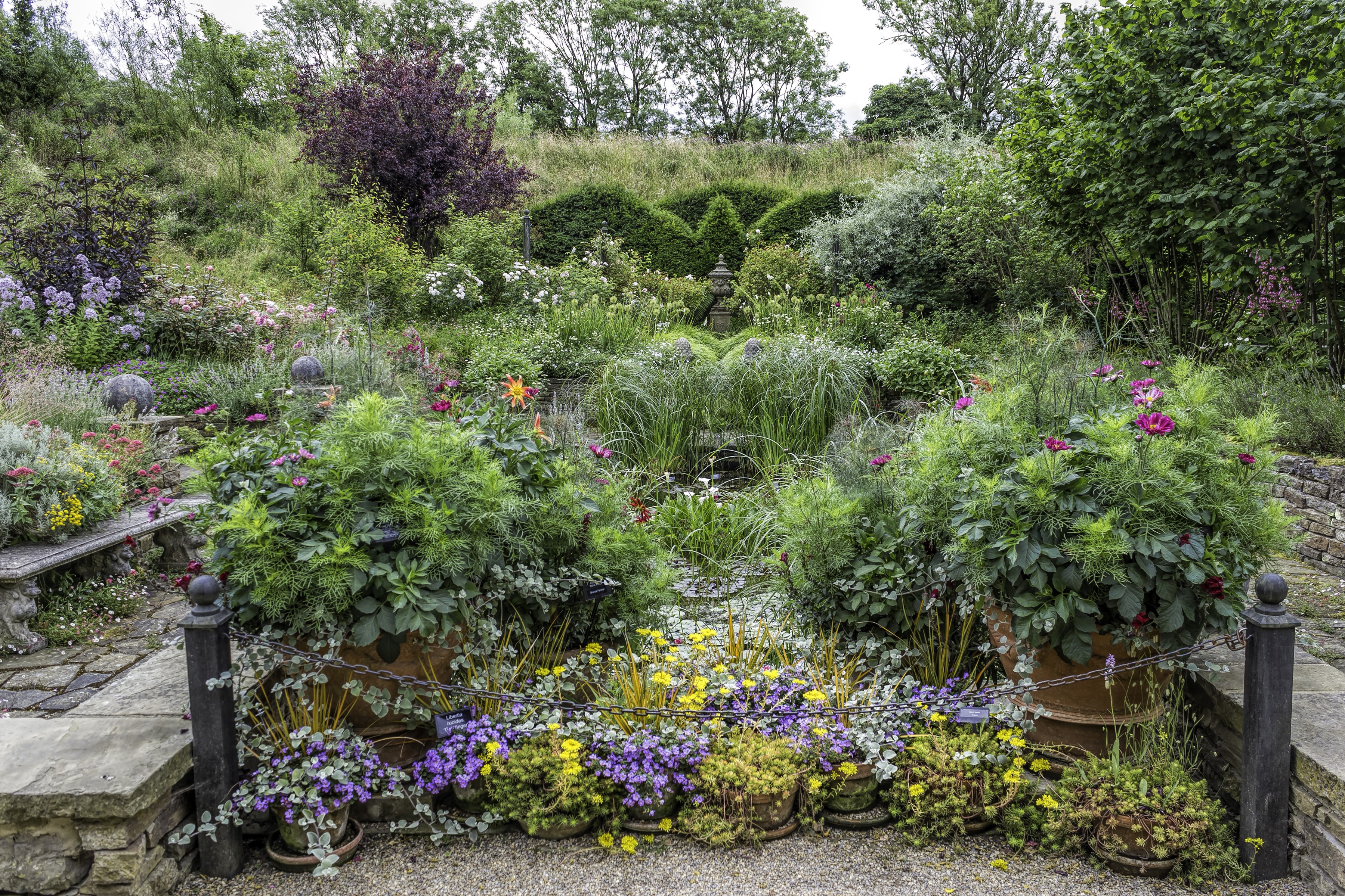 Garden at Harlow Carr, United Kingdom HD Wallpaper
