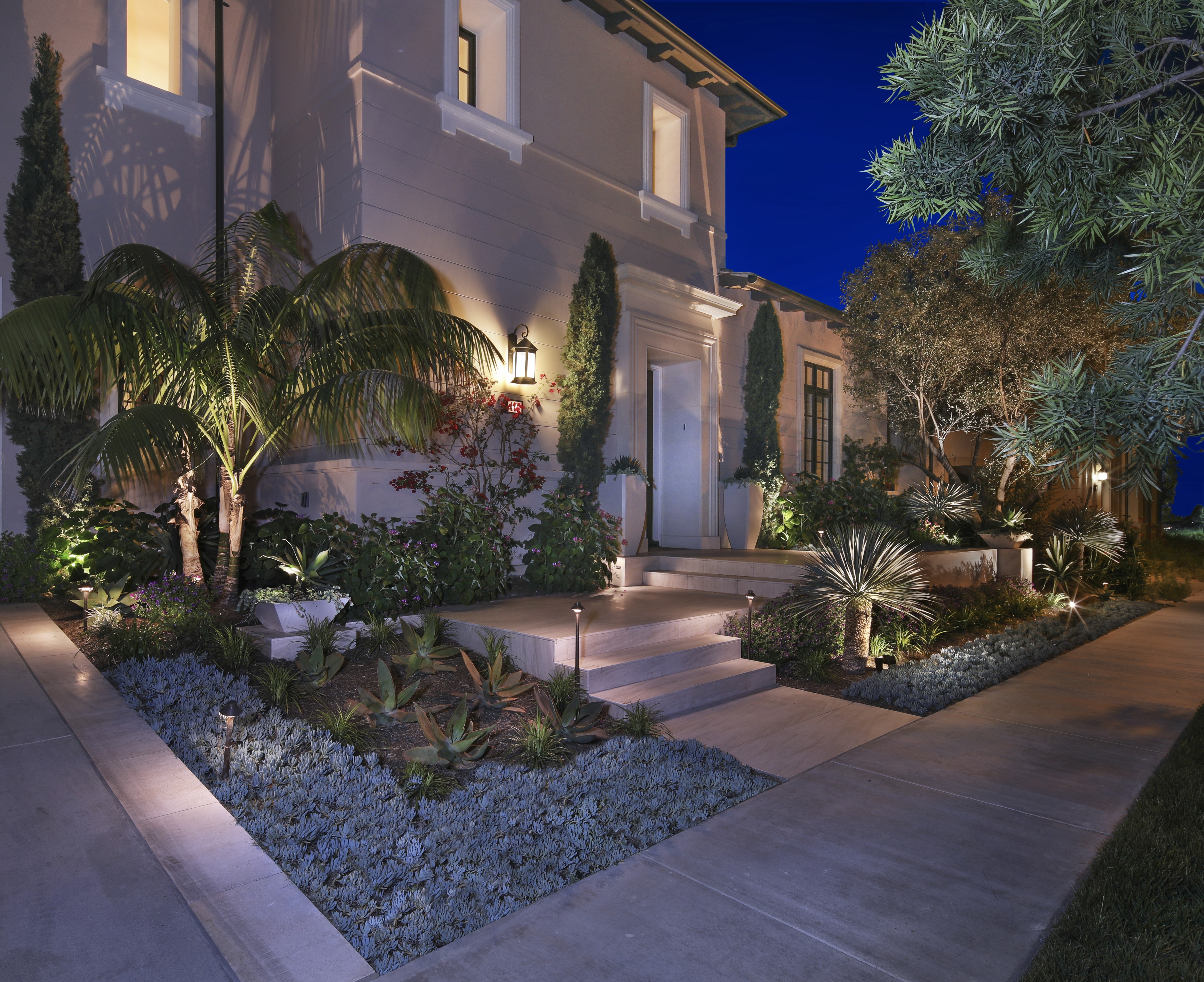 Luxury House with Landscape Design and Palms at Night HD Wallpaper