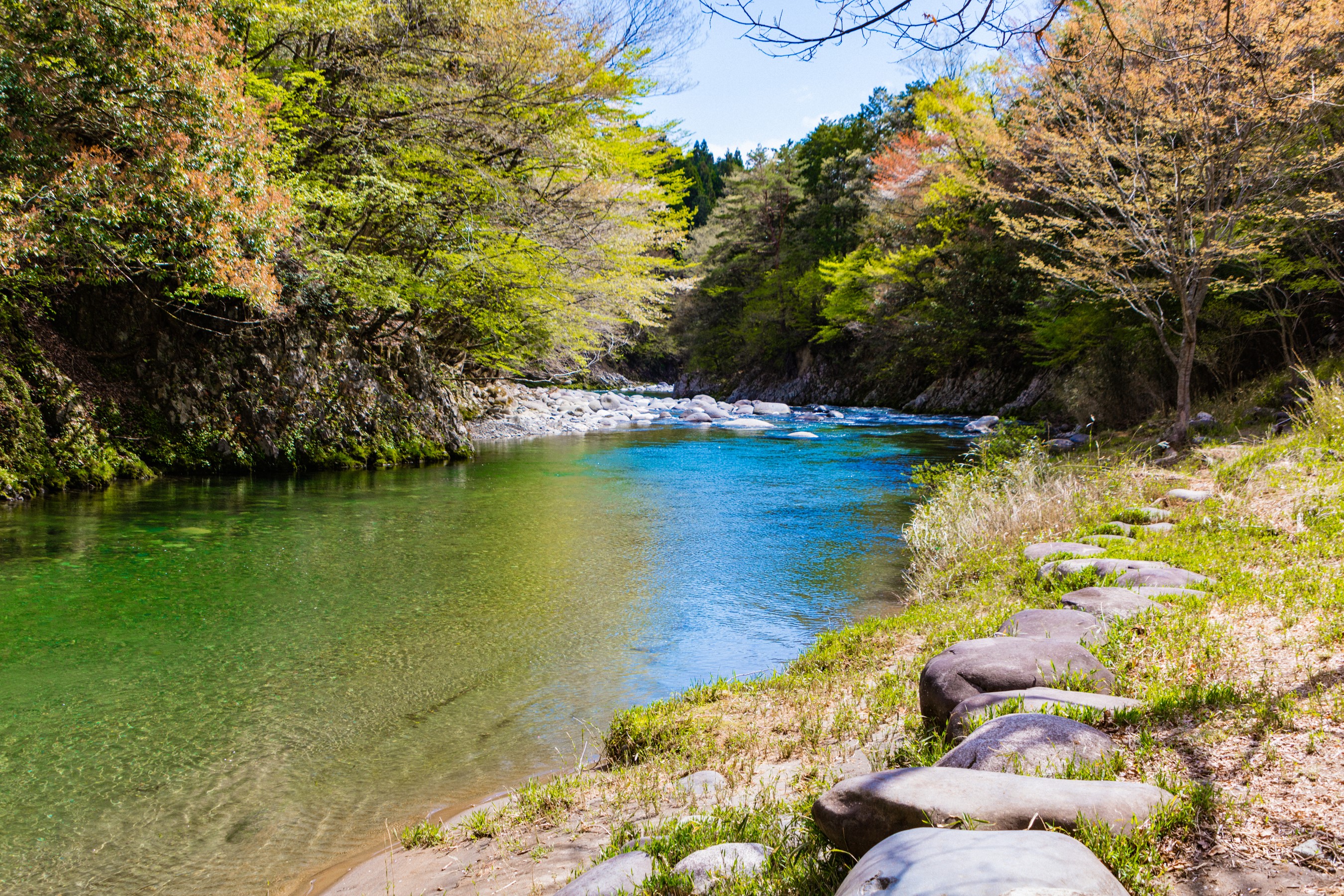 River flowing through a forest in Sagano, Kyoto, Japan HD Wallpaper