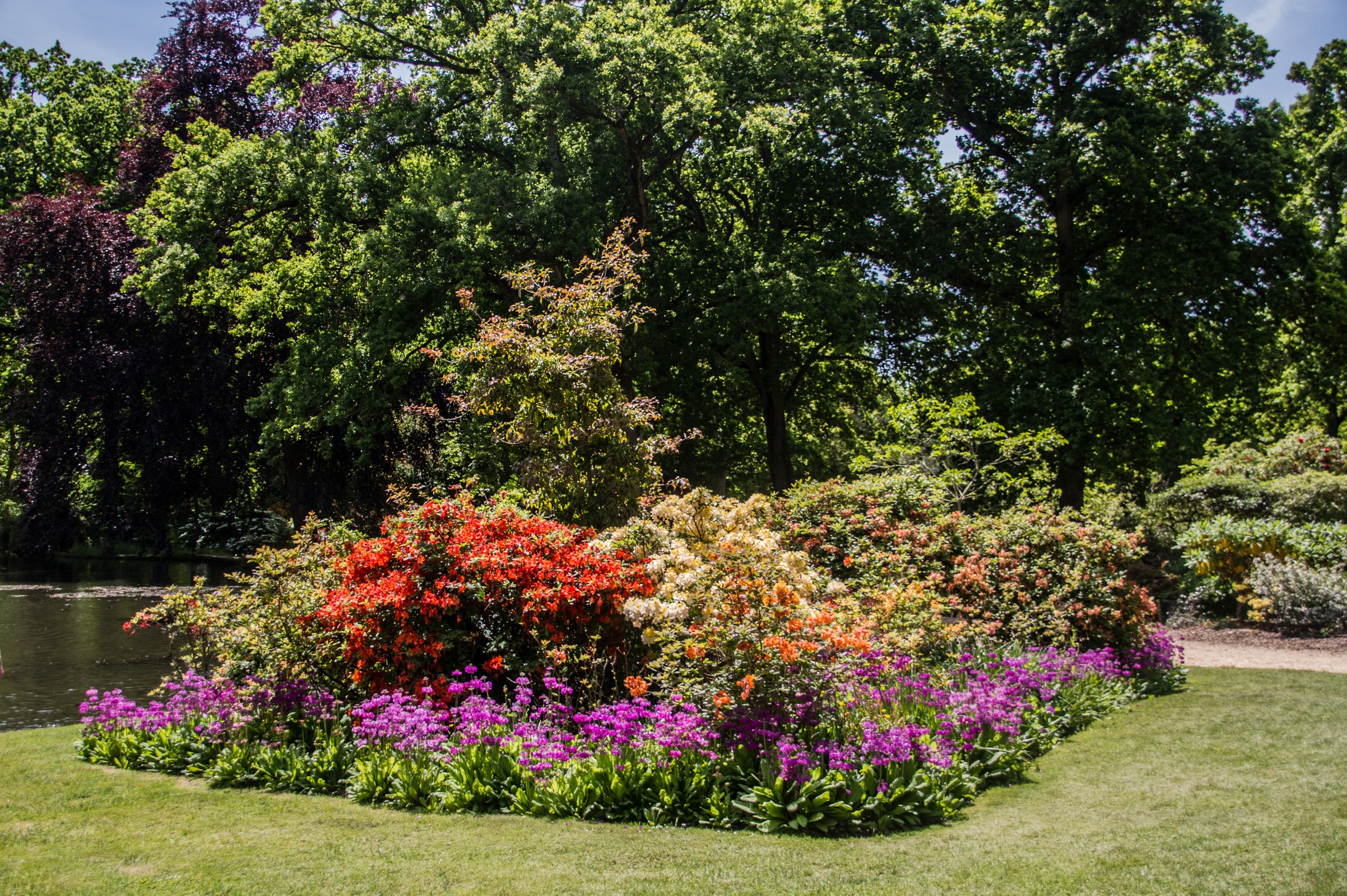 Exbury Gardens England with colorful shrubs and trees HD Wallpaper