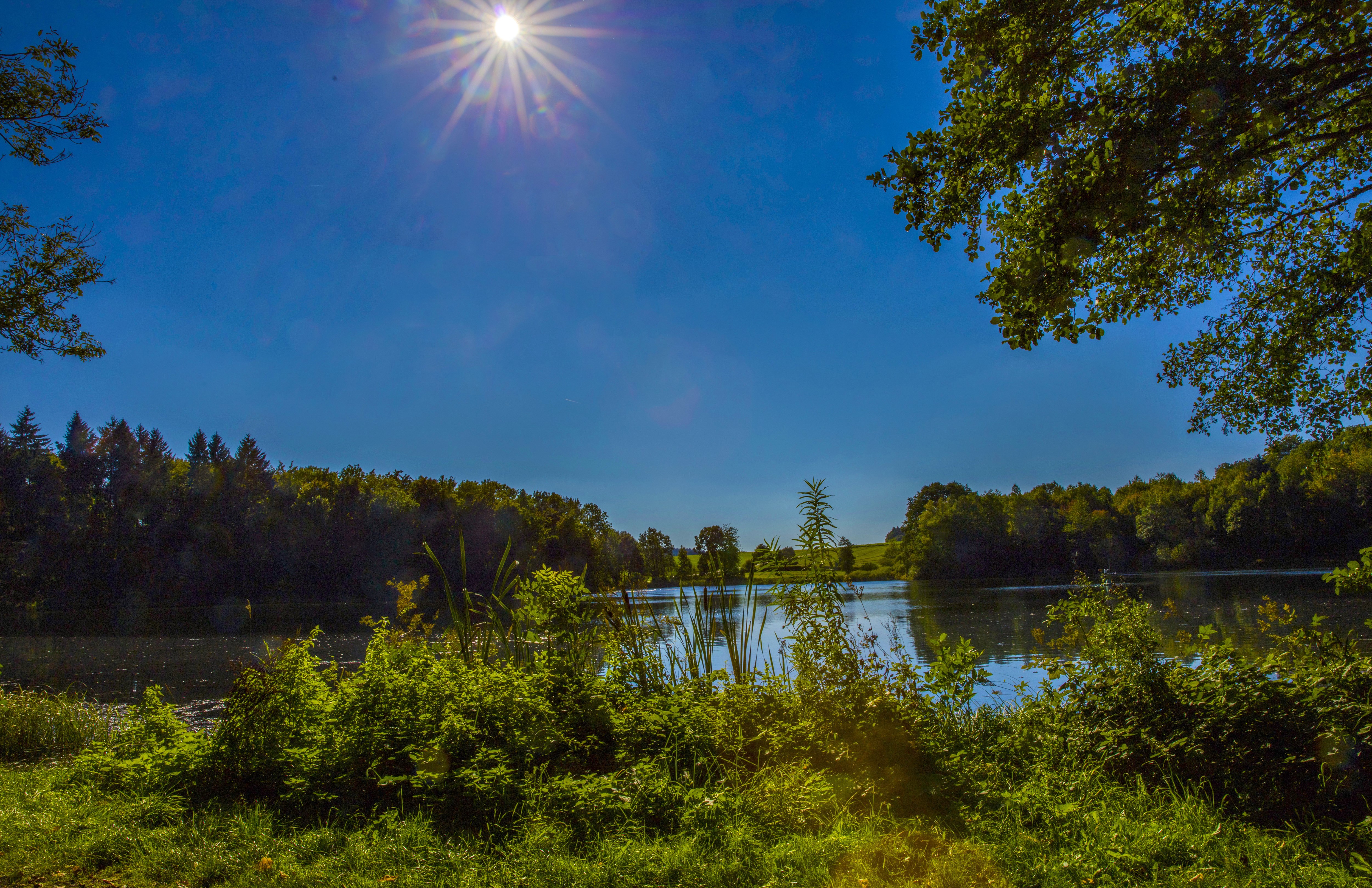 Lake and forest in Gillenfeld, Germany with sun HD Wallpaper