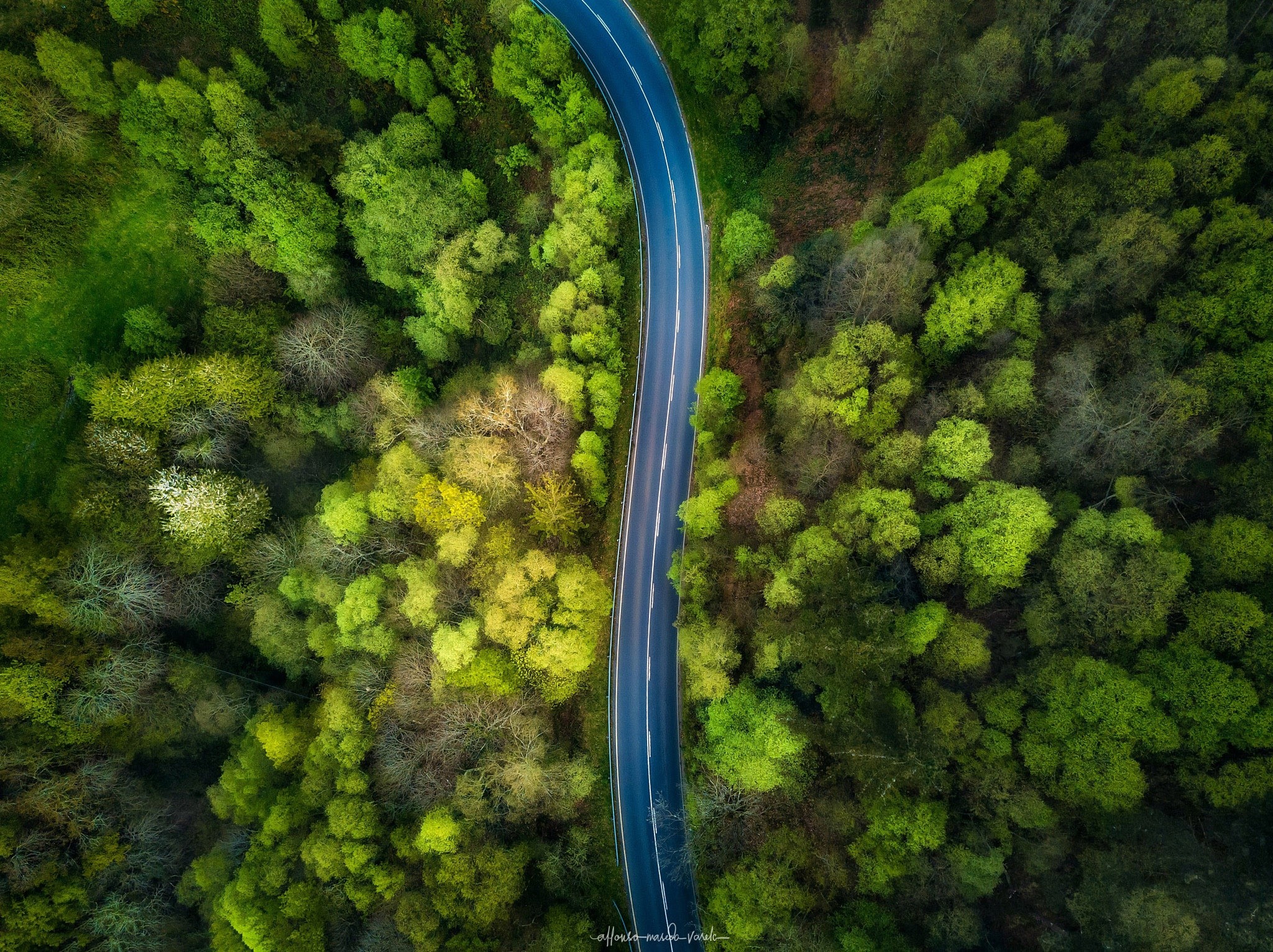 Aerial view of a winding road through a dense forest HD Wallpaper