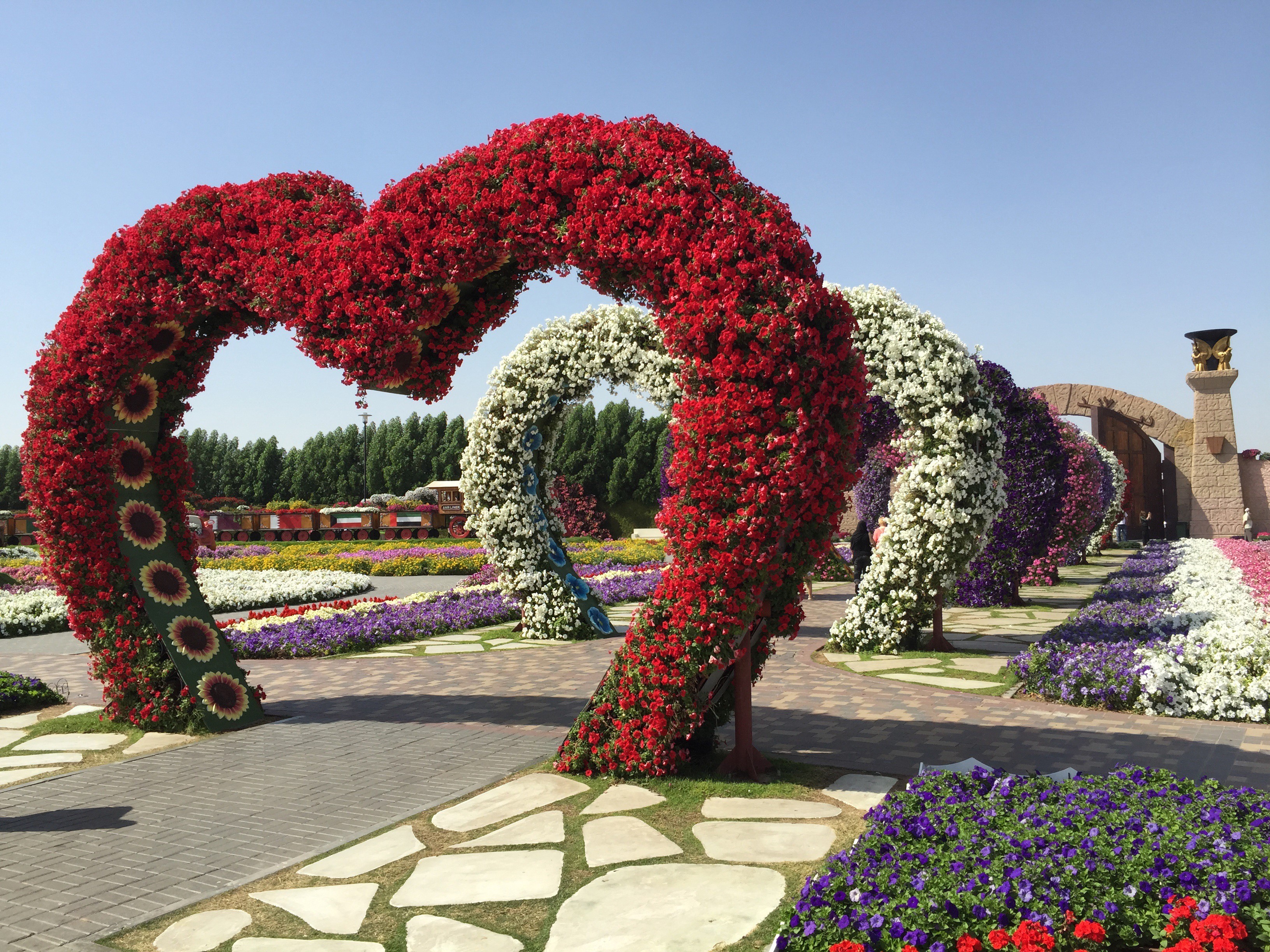 Heart-shaped flower arches at Miracle Garden, Dubai HD Wallpaper