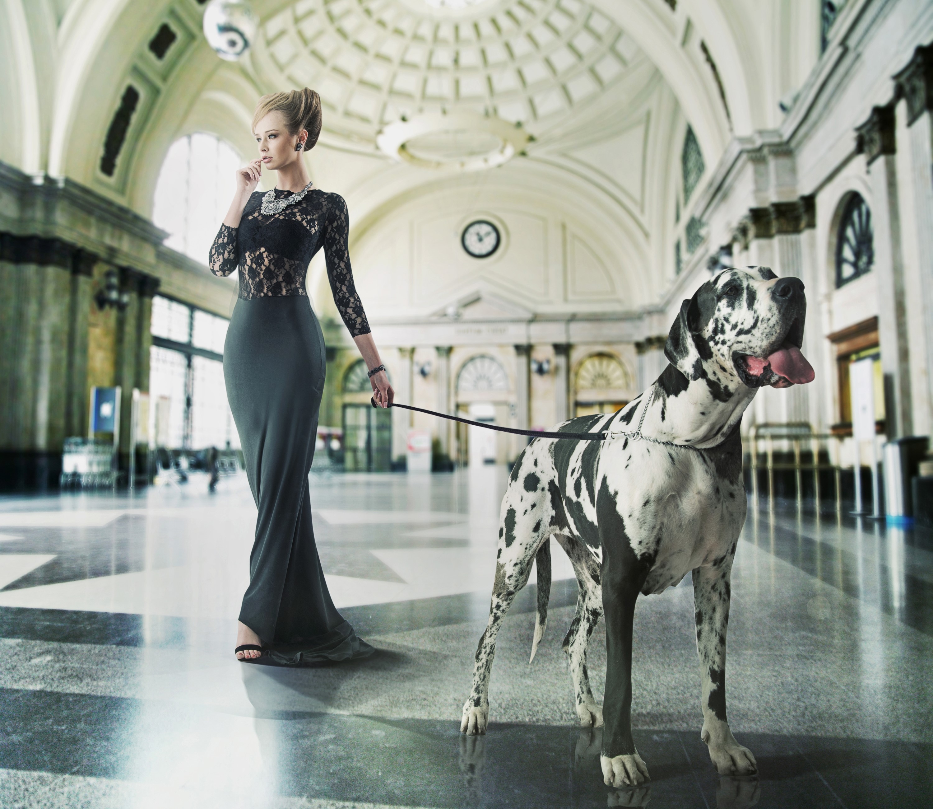 Woman in elegant dress with Great Dane dog HD Wallpaper