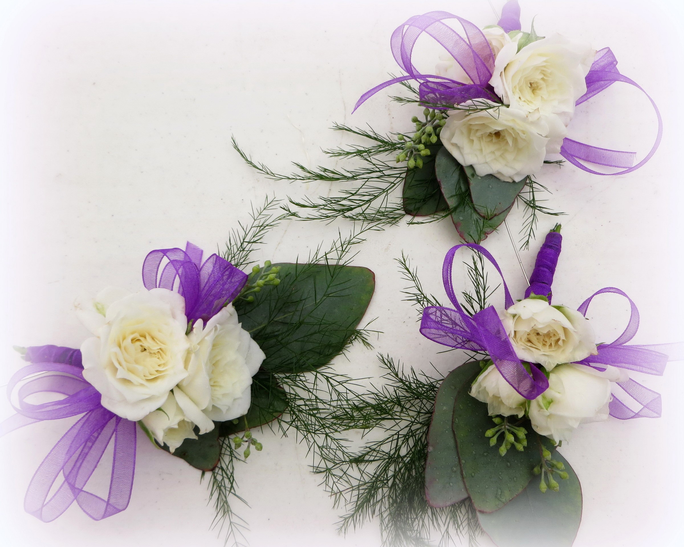 Three white rose boutonnieres with purple ribbon HD Wallpaper
