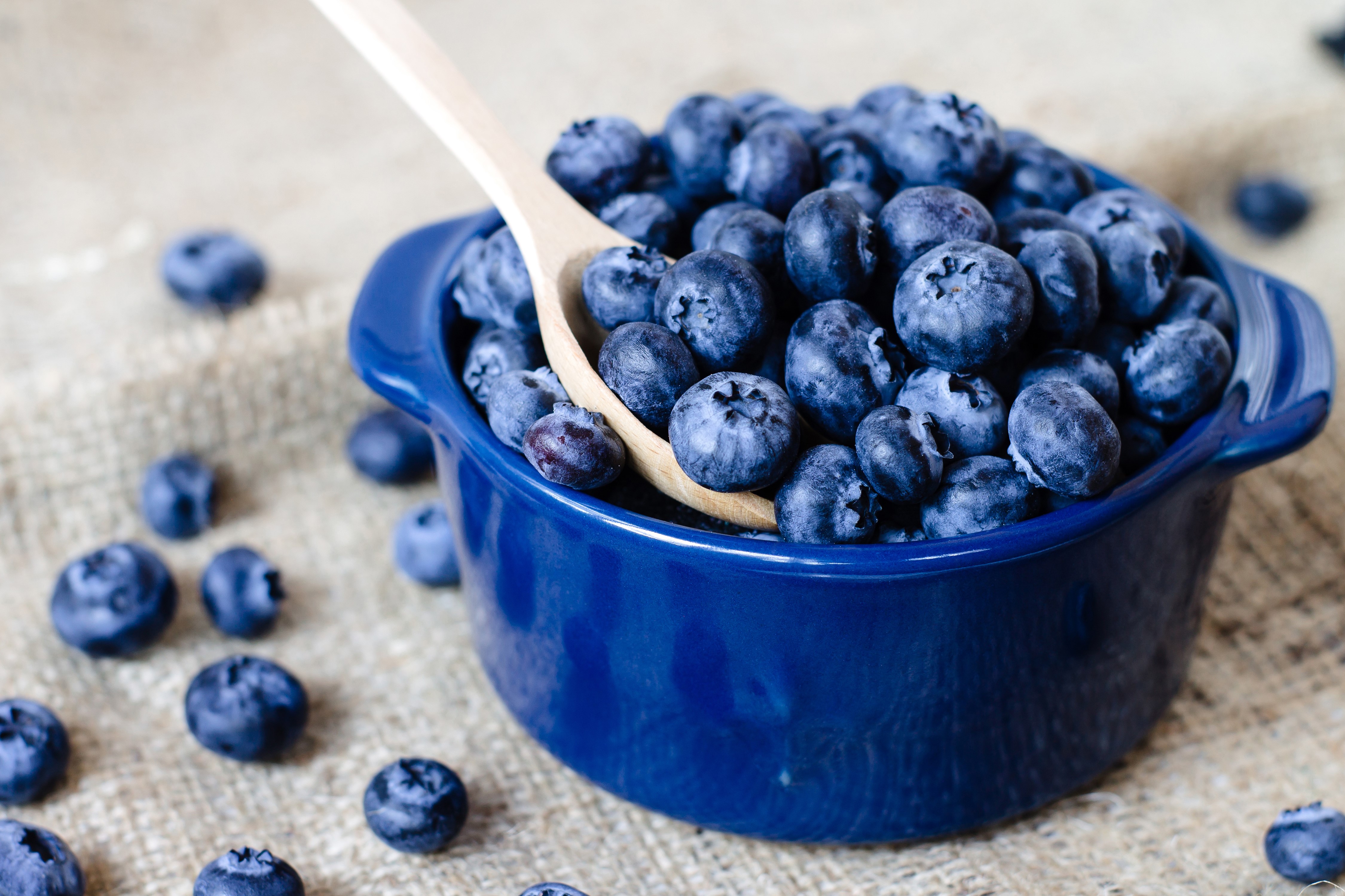 Blueberries in a blue bowl with a wooden spoon HD Wallpaper