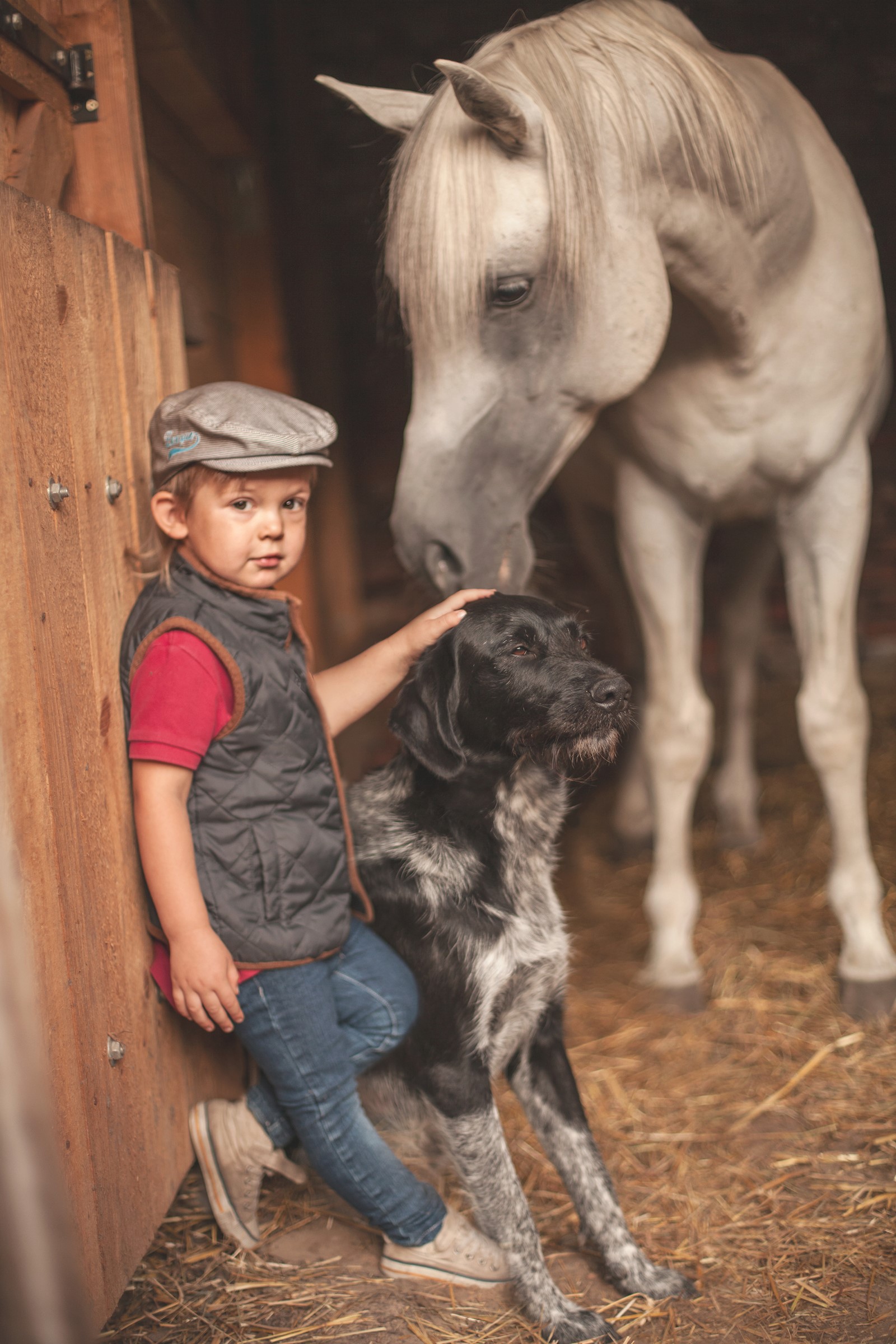 Boy with dog and horse in a stable HD Phone Wallpaper