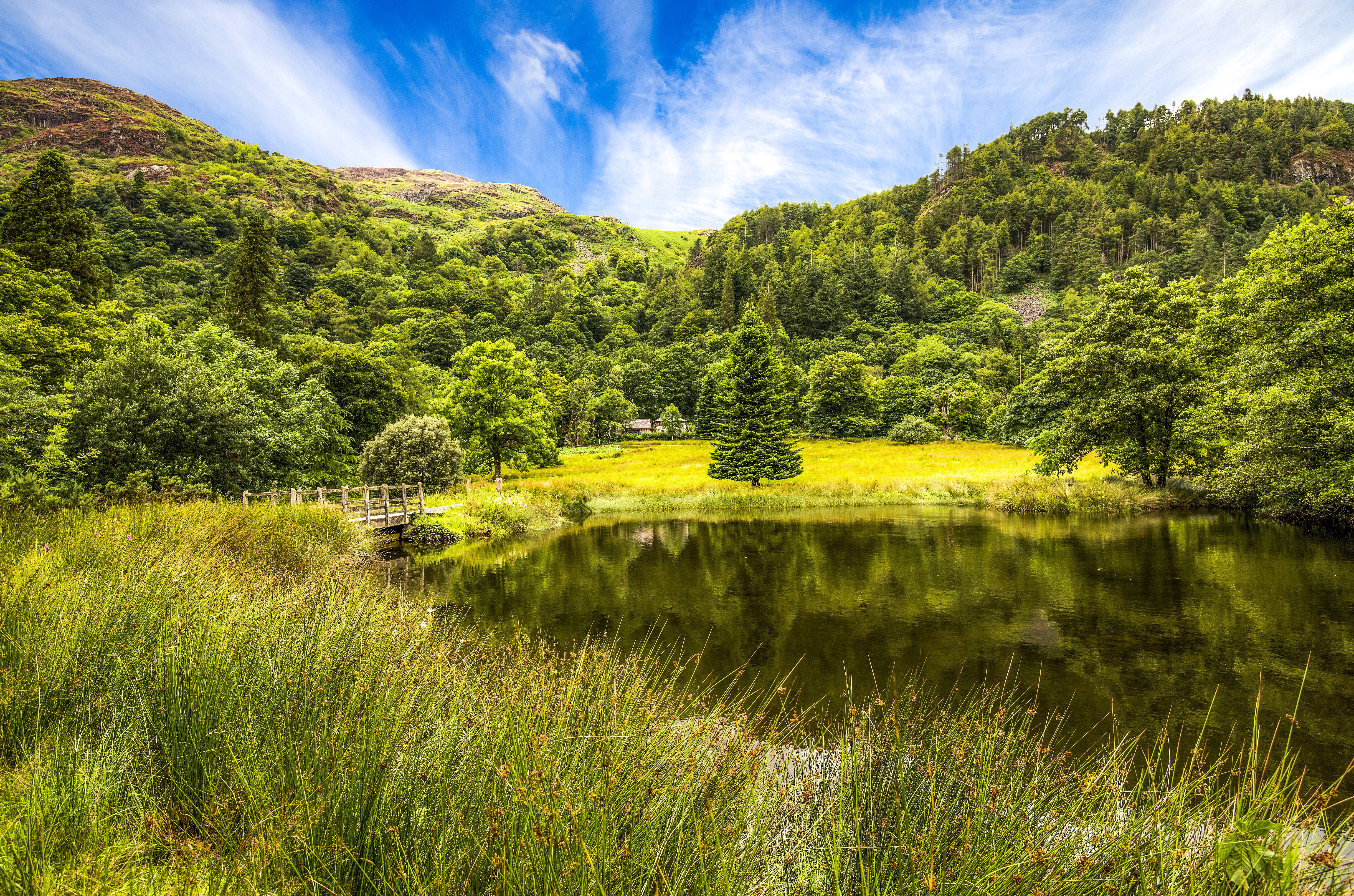 Lake and forest in Minffordd, Wales, United Kingdom HD Wallpaper